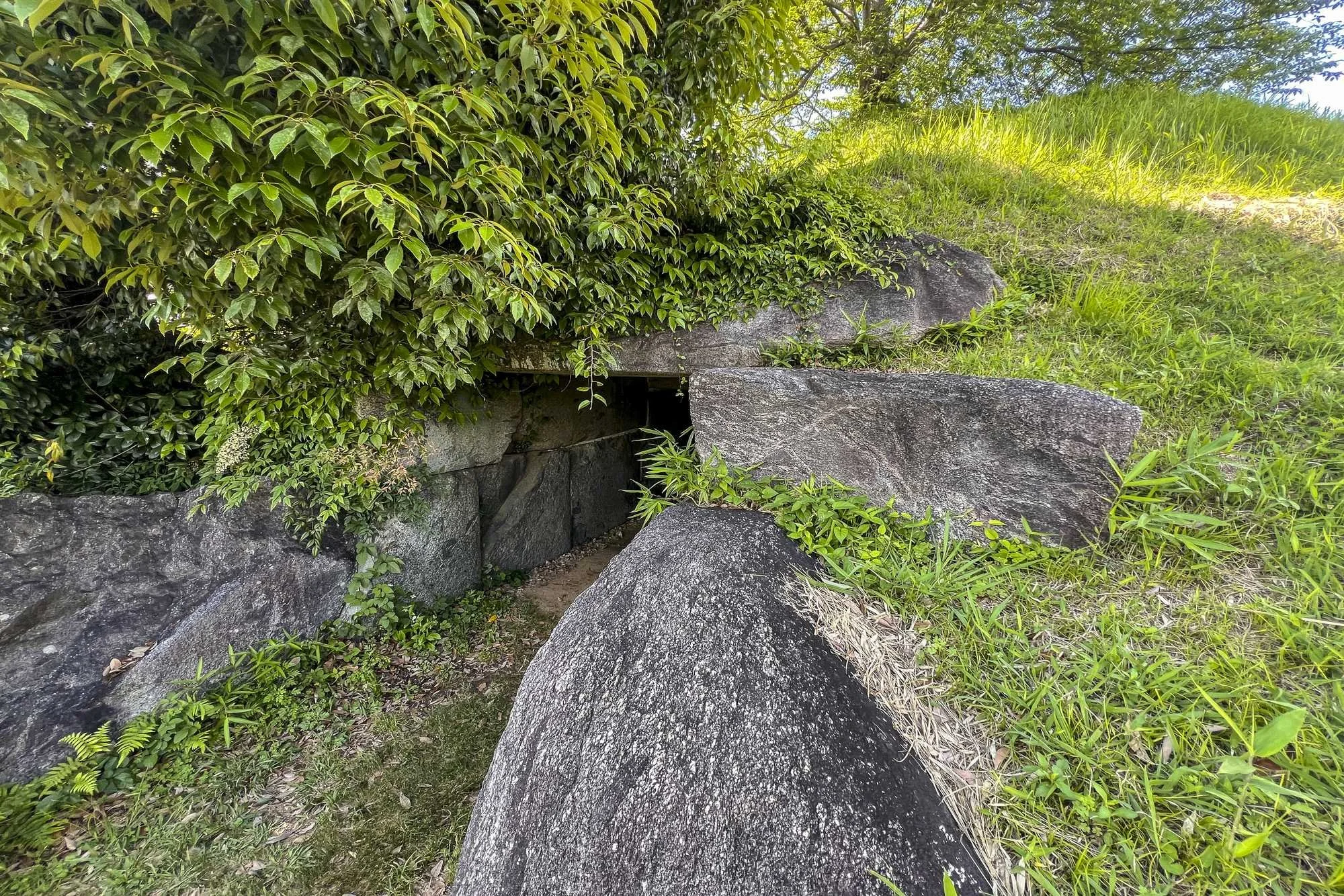 Iwayayama-Kofun-Tumulus_017.jpg