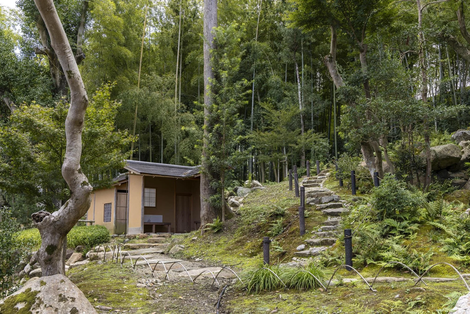 A small traditional Japanese-style building with sliding paper doors is nestled among lush green trees and plants. A stone pathway with steps leads up the grassy hill, bordered by black posts and ropes. The scene is tranquil and surrounded by dense f