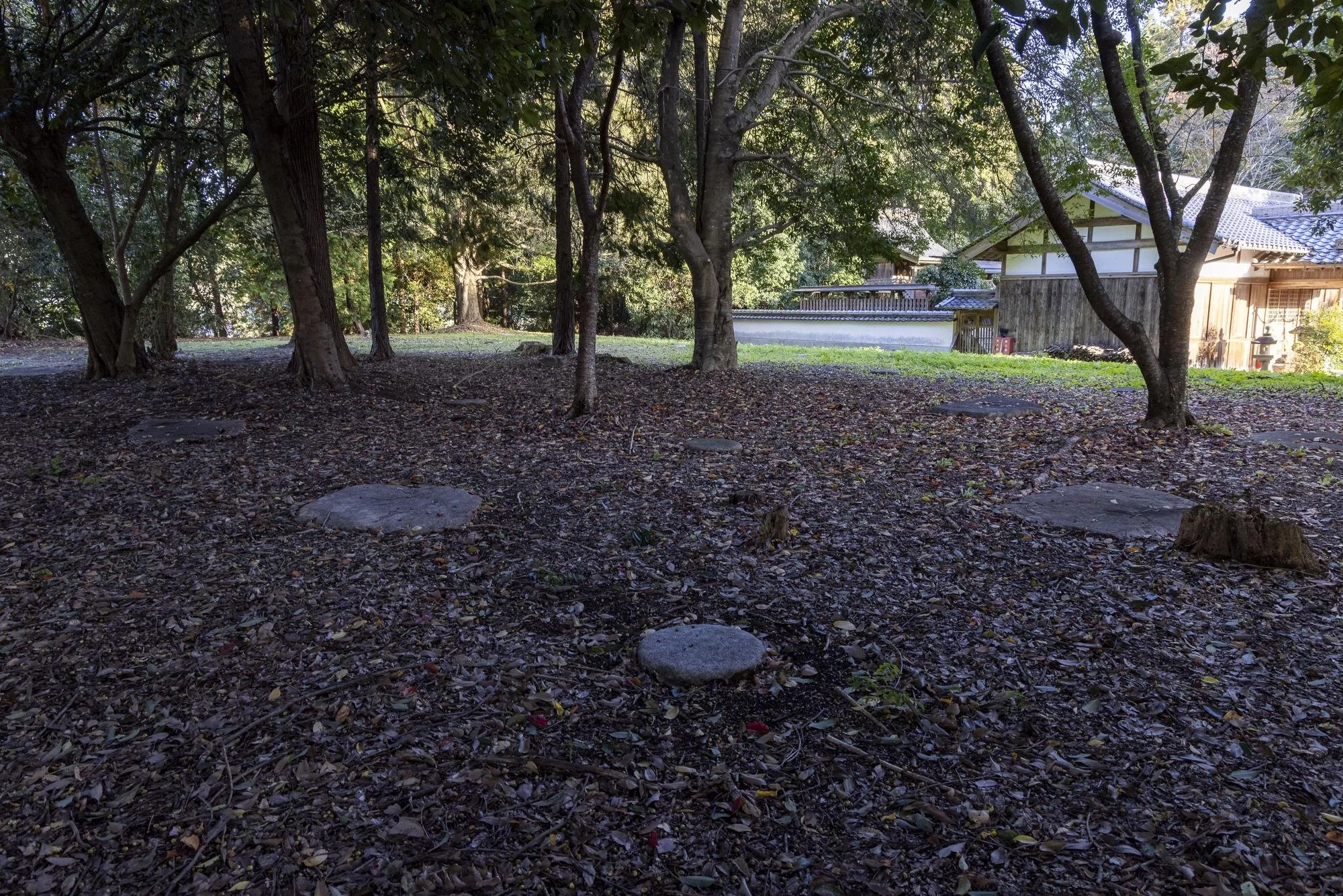 A peaceful outdoor scene with trees, fallen leaves, and stepping stones on the ground, near traditional Japanese-style buildings.