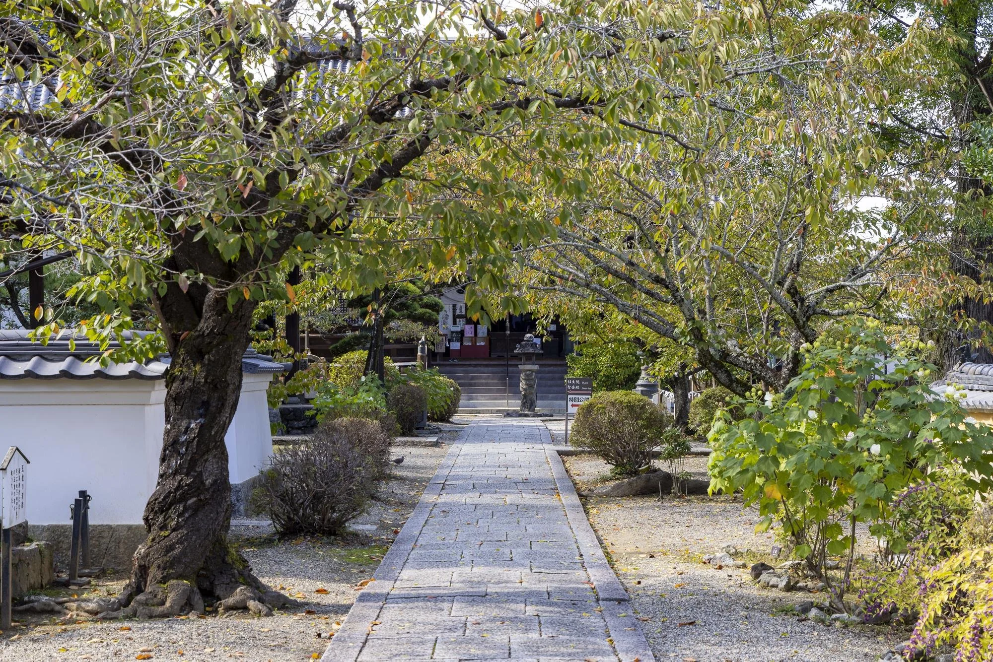 A stone pathway leading through a Japanese garden with trees and bushes, towards a traditional building with steps.