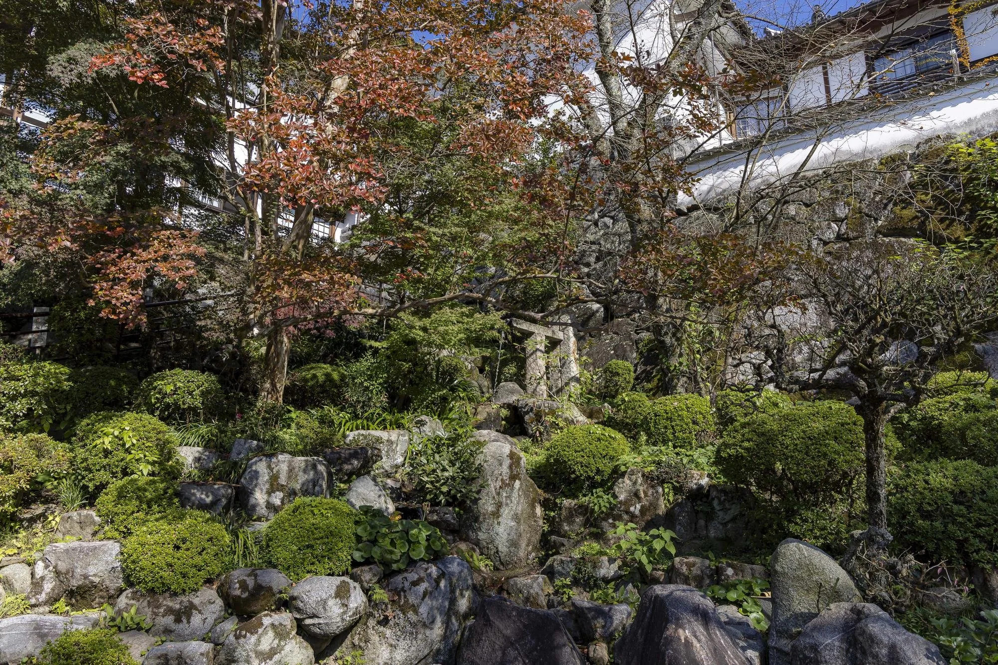 A Japanese-style garden with various green bushes, trees, rocks, and a stone lantern. There are some trees with red and pink leaves, and a building is visible in the background.