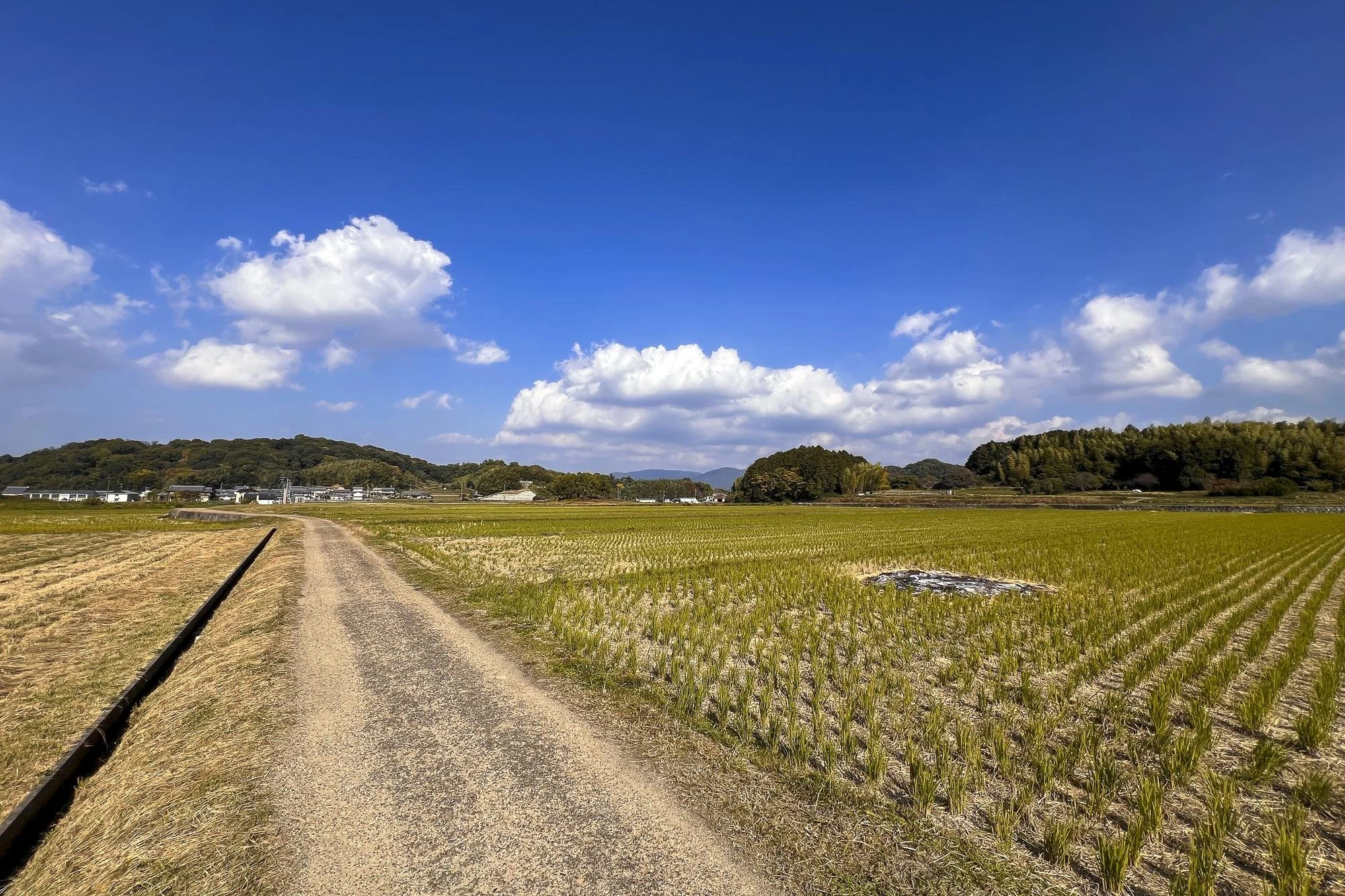 A rural landscape with a dirt pathway running through green fields under a blue sky with white clouds, with hills and a small village in the background.