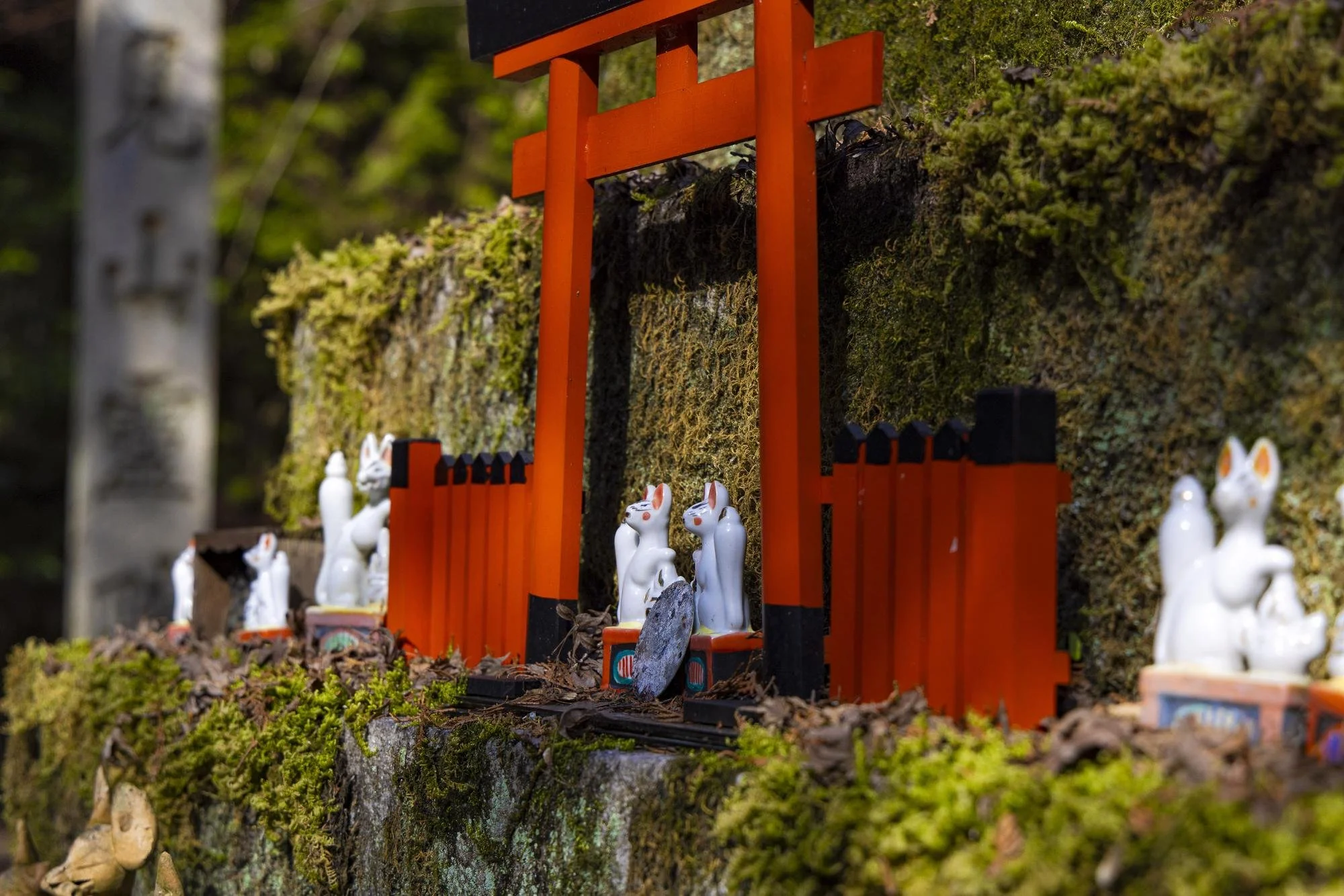 Tomi-jinja-Shrine_014.jpg