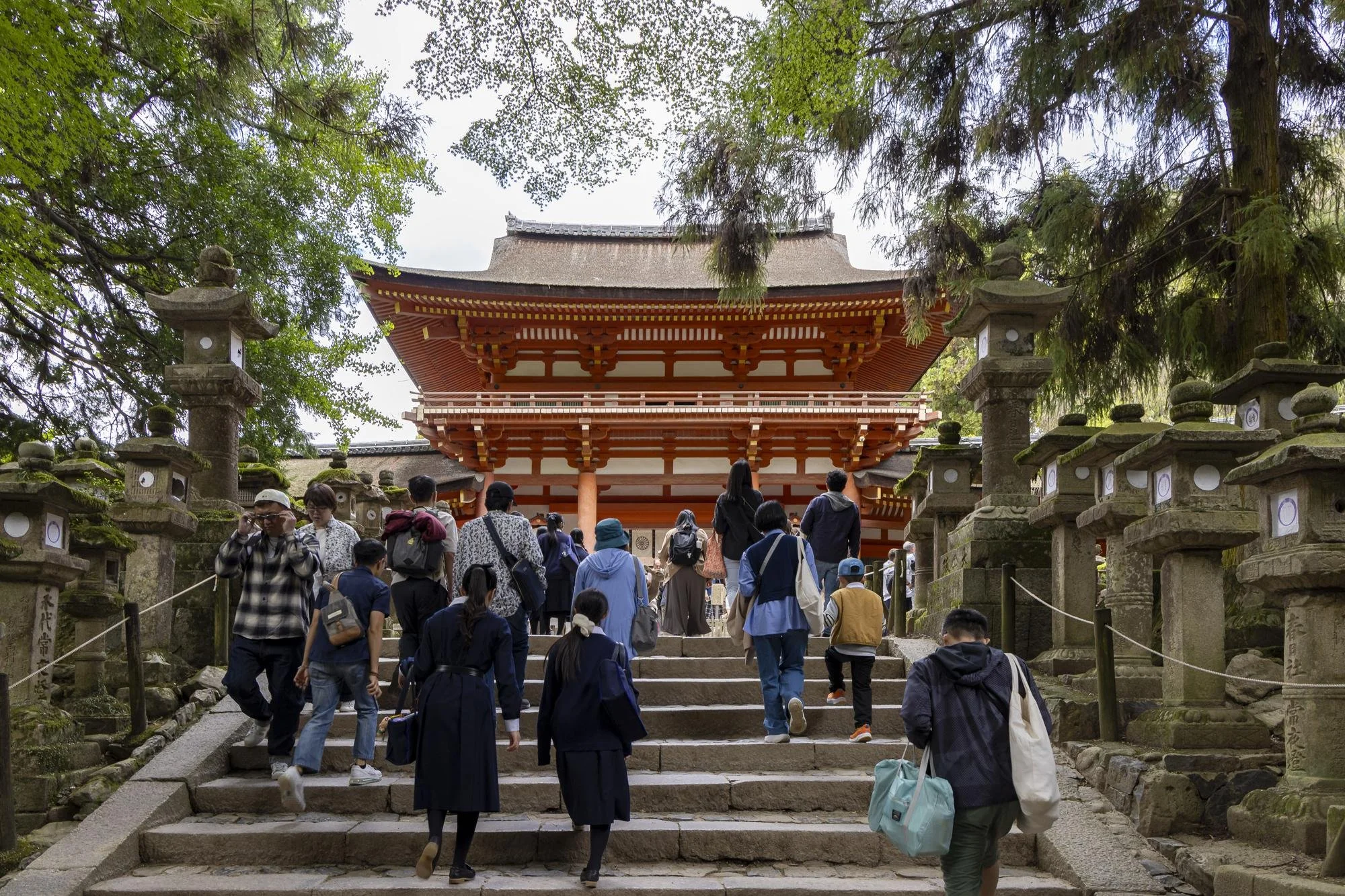 People ascending steps towards a traditional Japanese temple, surrounded by stone lanterns and trees.