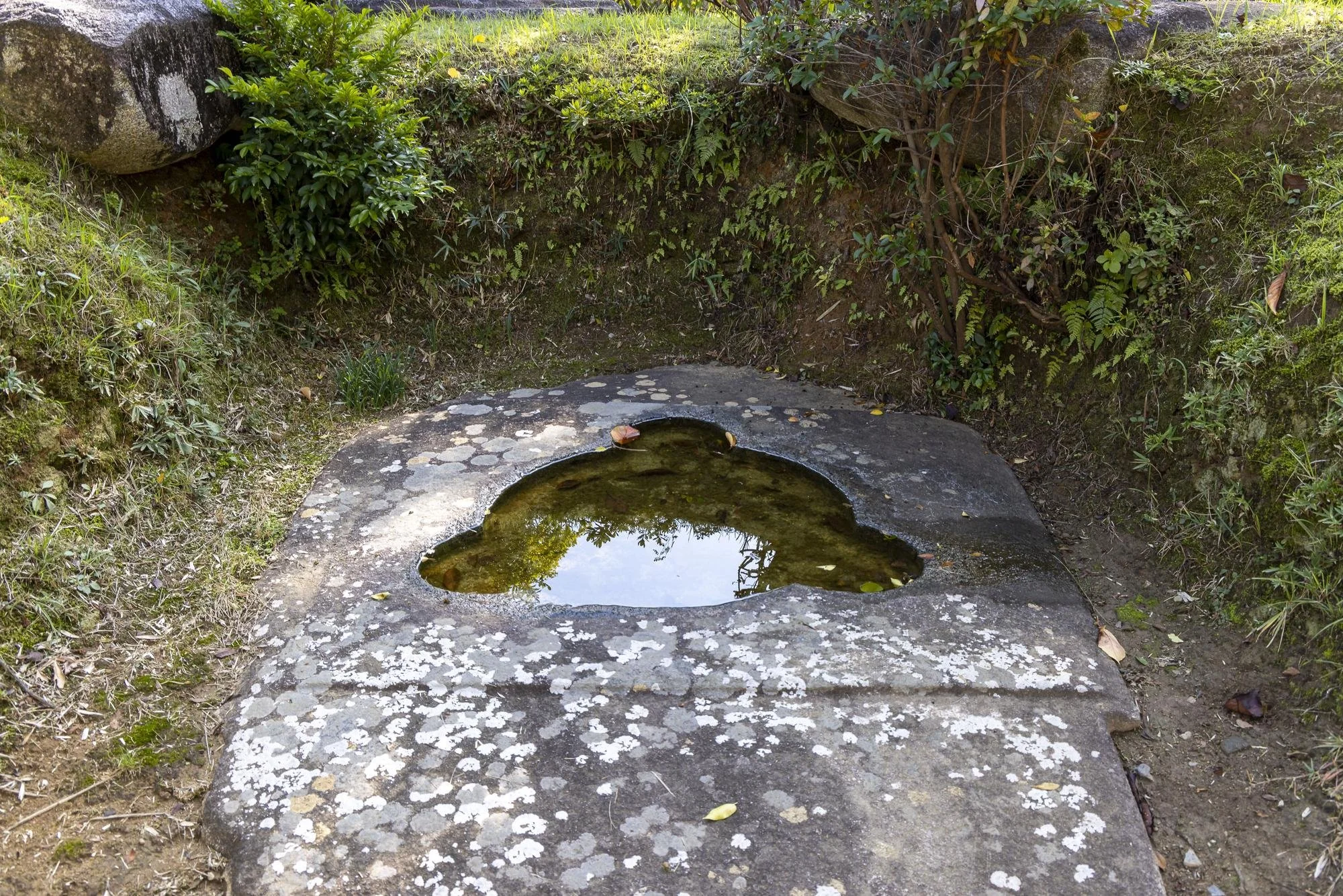 A rock formation with a small hole in the center filled with water, surrounded by grass and bushes.