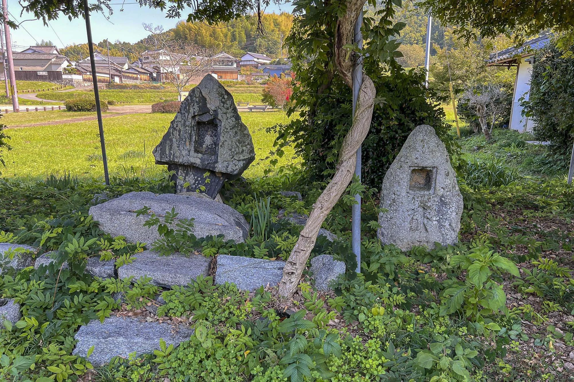 Two stone monuments with square indentations sit among green foliage and trees in a rural garden, with houses and a hill in the background.