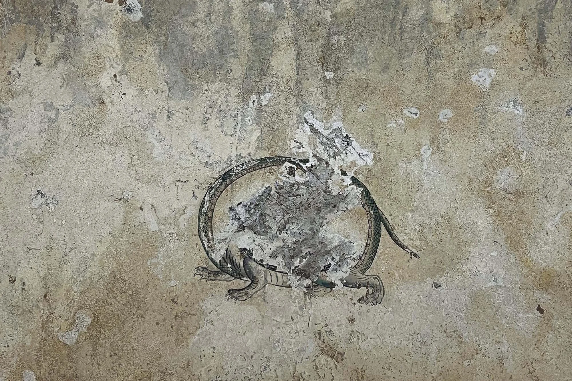 A wall with peeling paint and an illustration of a lizard in the center