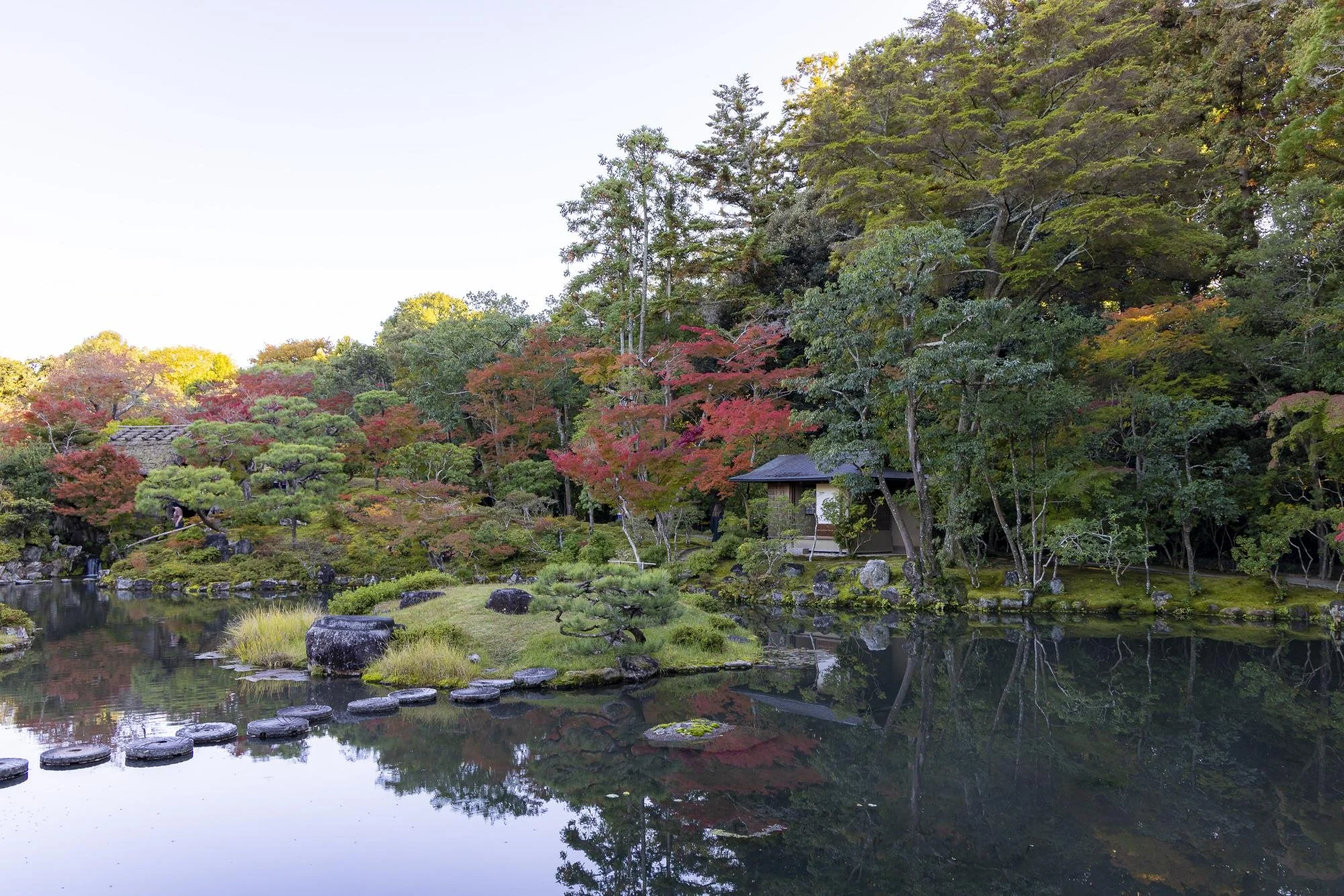 A peaceful Japanese garden with a pond, stepping stones, lush green and red foliage, trees, and a small wooden structure.