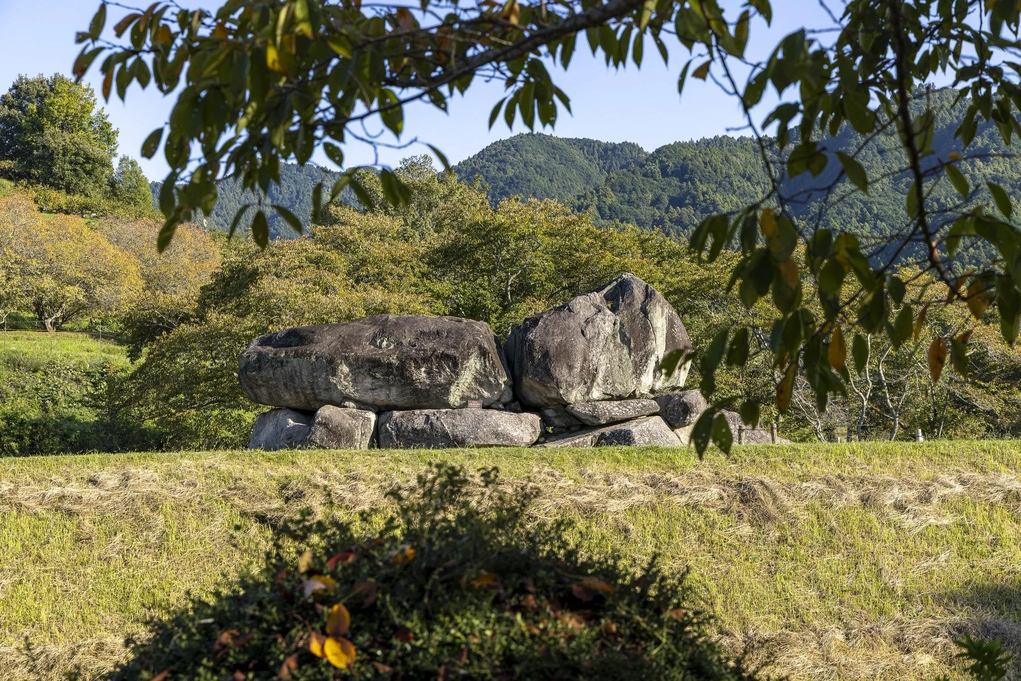 Ishibutai Kofun Tumulus: Large rocks arranged on a grassy area with trees and mountains in the background, seen through the leaves of a tree in the foreground.