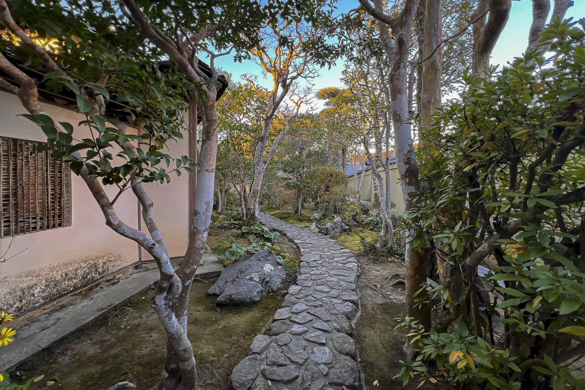 A winding stone path through a garden with trees and bushes, next to a house with a window and bamboo blinds
