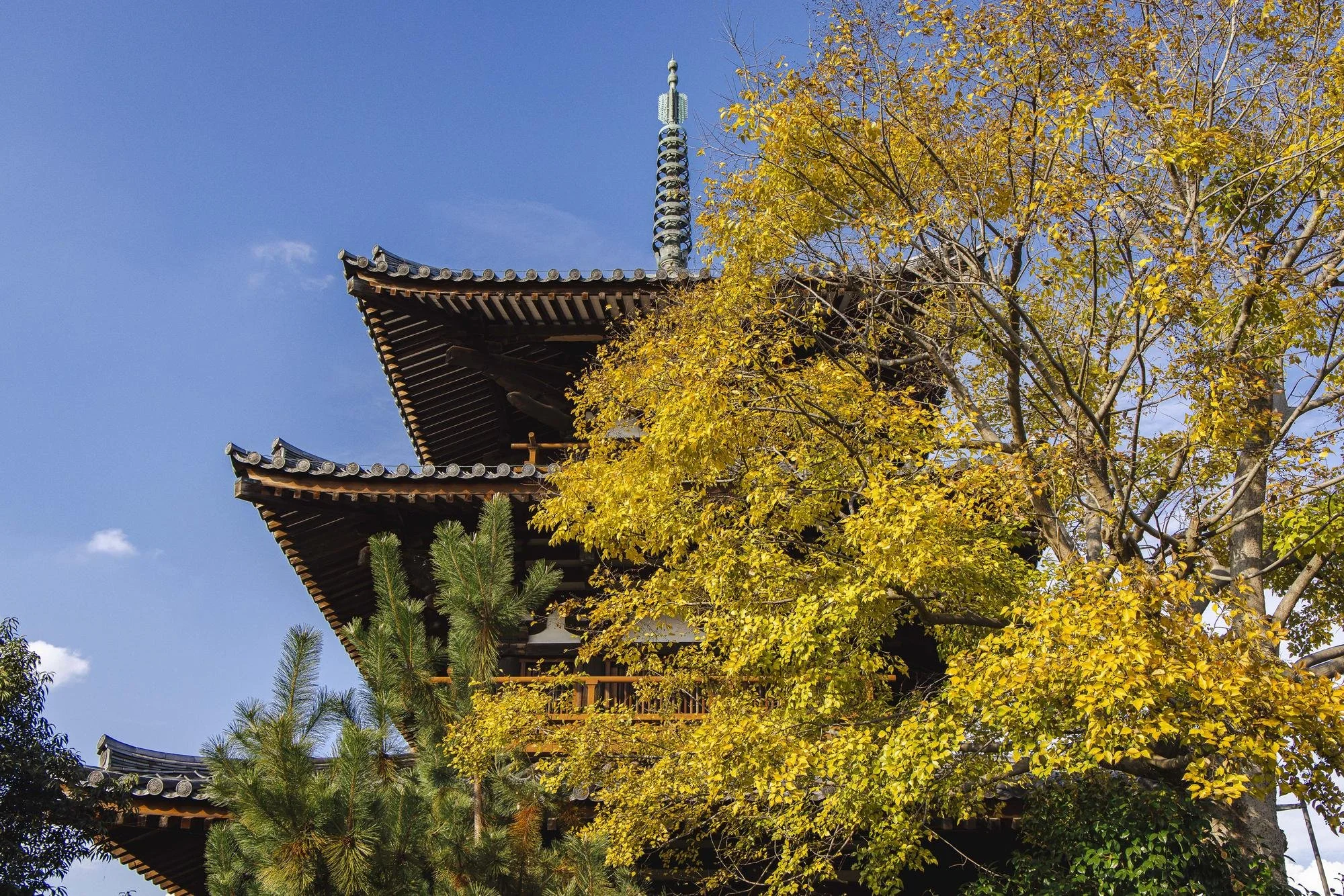 A traditional Japanese pagoda partly obscured by autumn-colored trees, set against a blue sky.