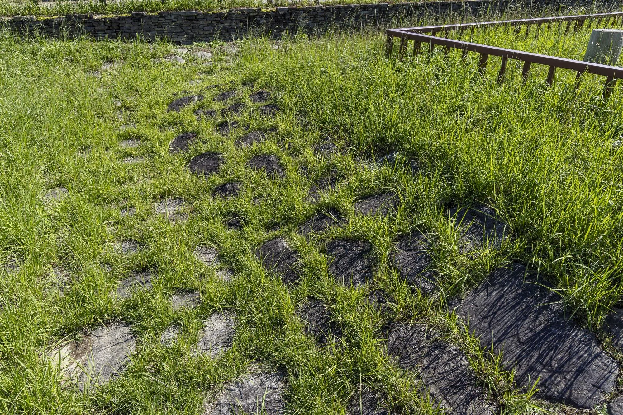 Overgrown grassy area with black stones and a metal railing on the right side.