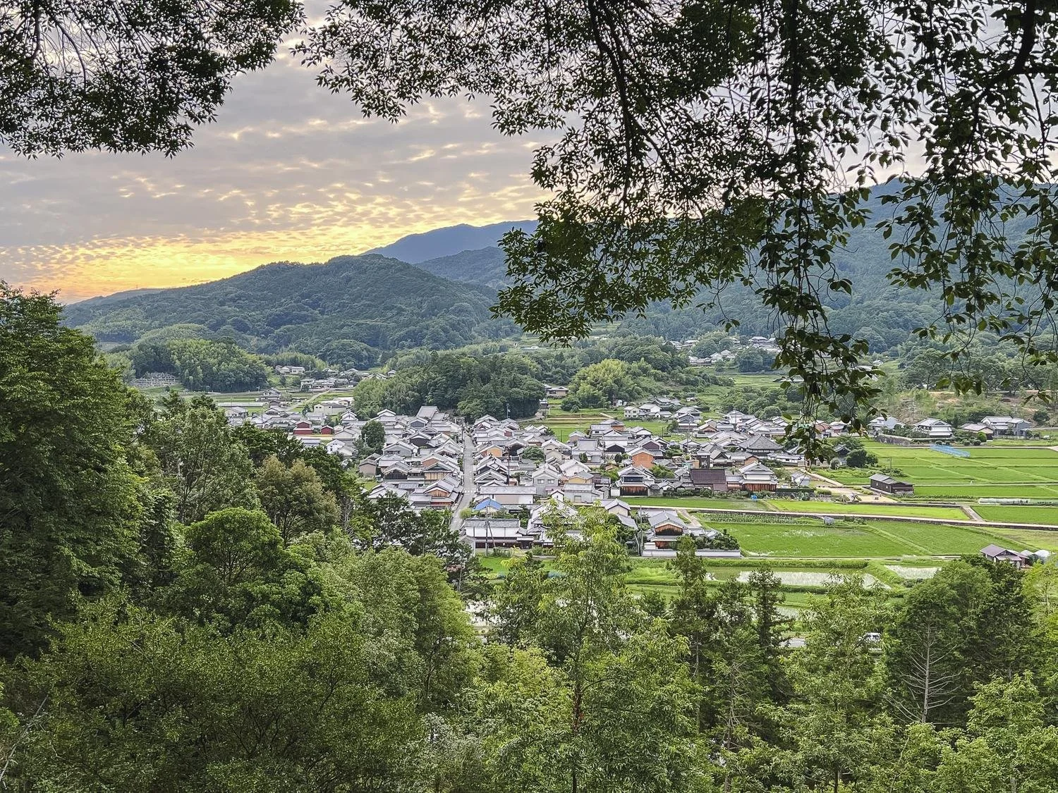 Early morning view of Asuka Village from Amakashi-no-Oka Hill, with the rural landscape illuminated by soft sunrise light.