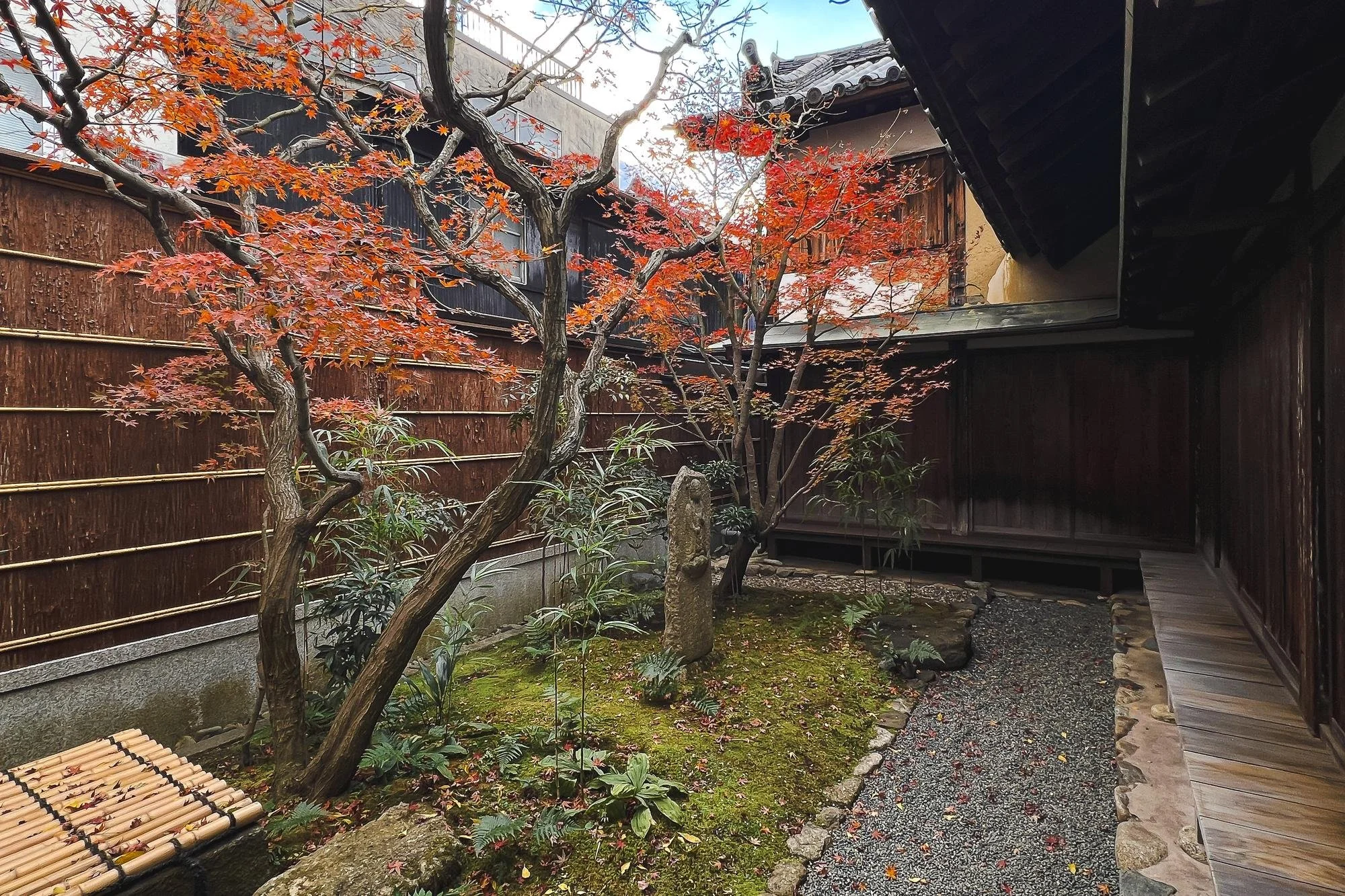 A Japanese garden with autumn red maple trees, moss-covered ground, a stone lantern, and a wooden walkway.
