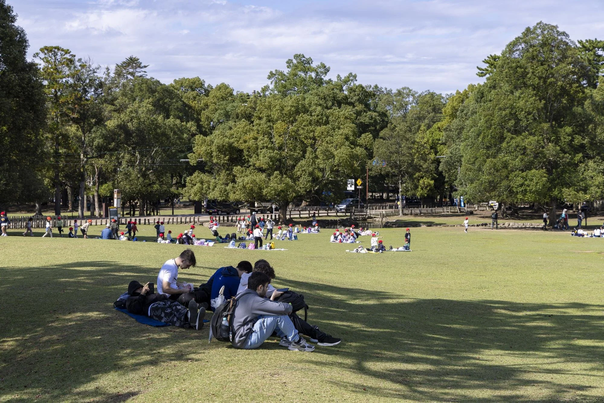 People sitting on grass and children wearing red hats playing in a park with large trees and a blue sky.