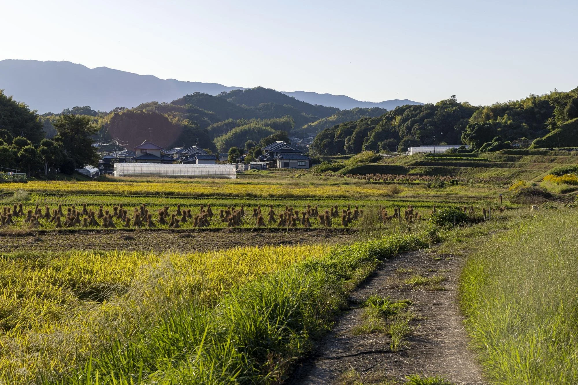 Scenic view of rural farmland with green fields, a dirt path, and distant houses and mountains under a clear sky.