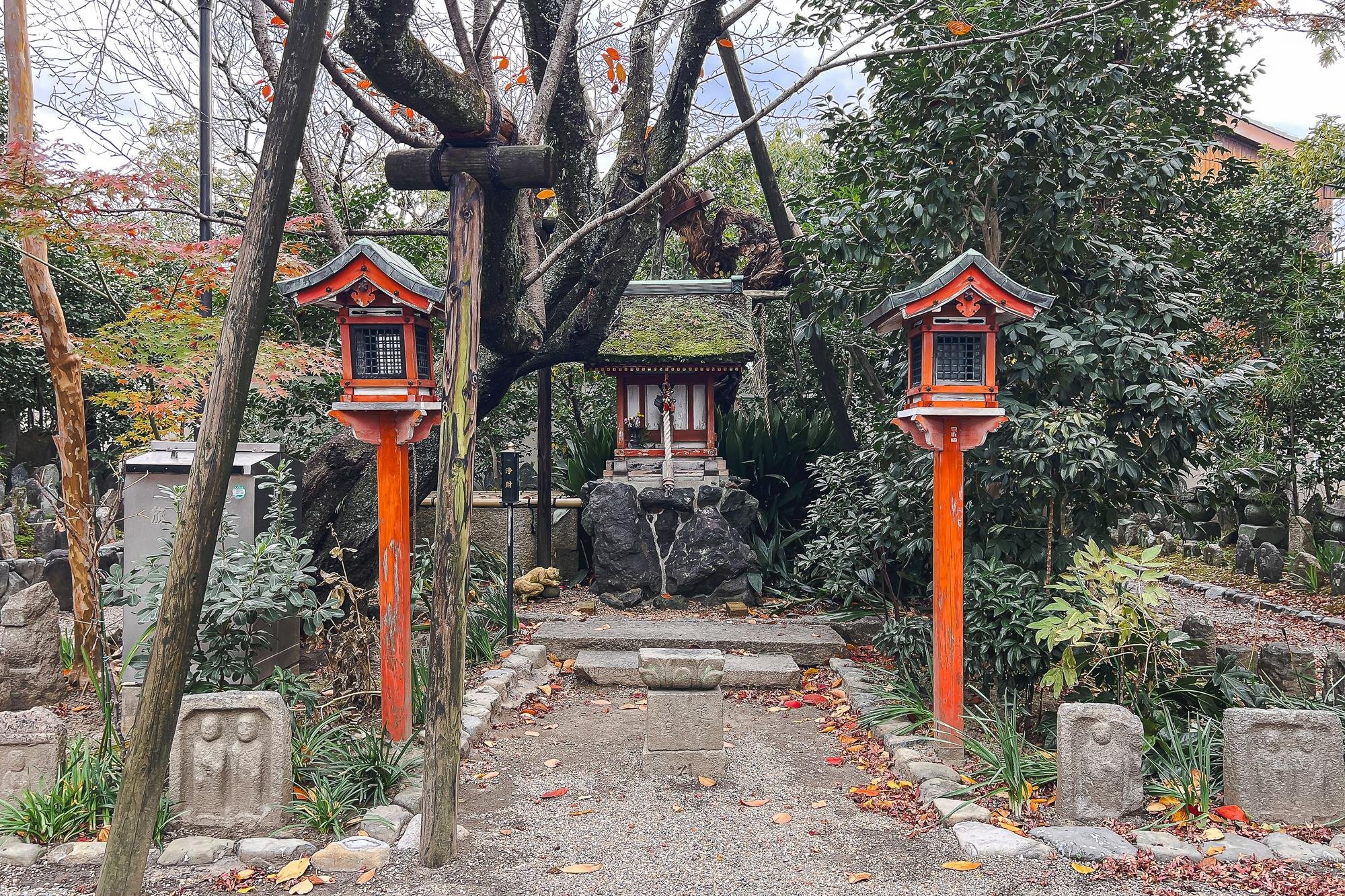 A small Japanese shrine with a moss-covered roof, flanked by two red wooden lanterns, in a garden surrounded by trees and plants with fallen leaves.