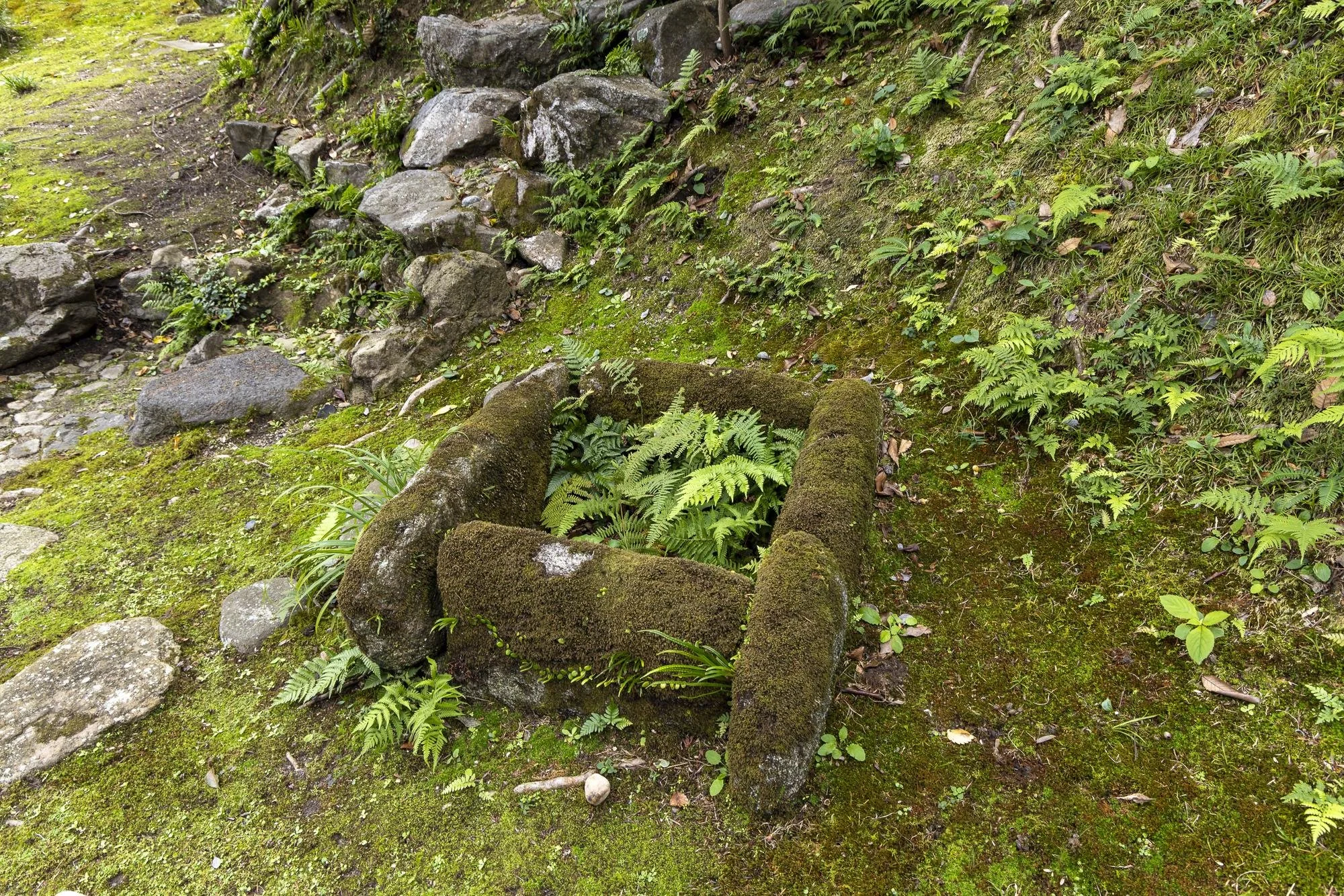Moss-covered stone well filled with green ferns, situated on a mossy ground with scattered rocks and lush greenery in the background.