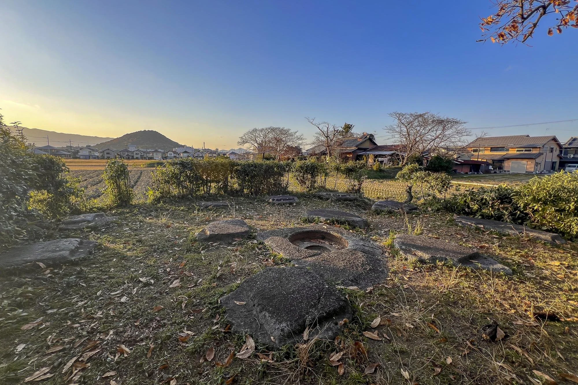Open outdoor area with large stones on the ground, shrubs, leafless trees, residential houses, and a clear sky at sunset.