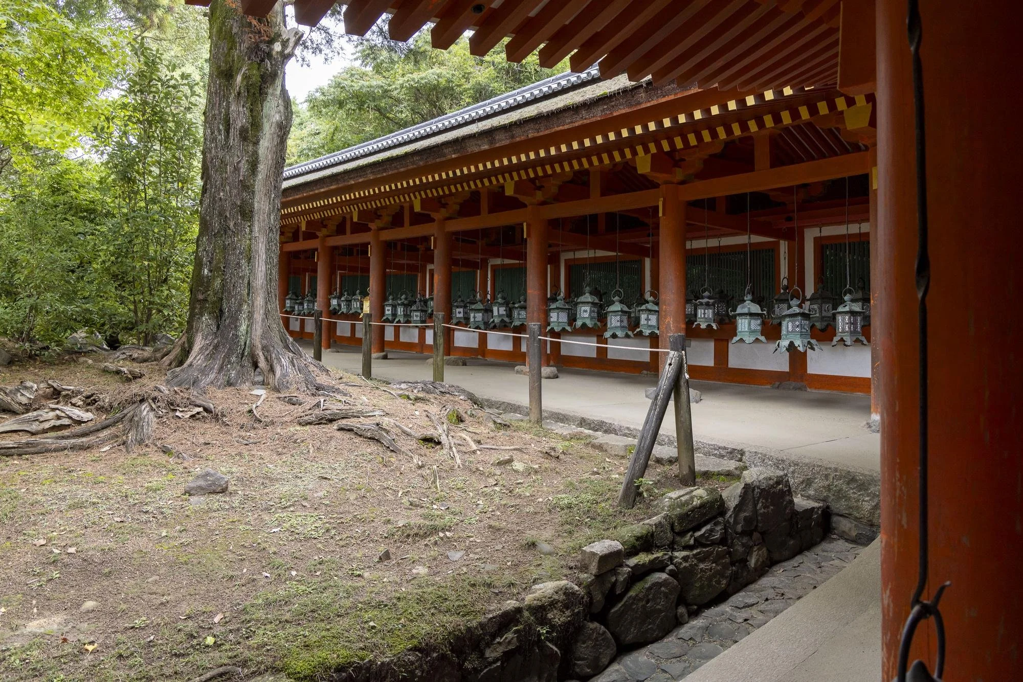 A traditional Japanese temple with hanging lanterns, surrounded by trees and natural scenery.