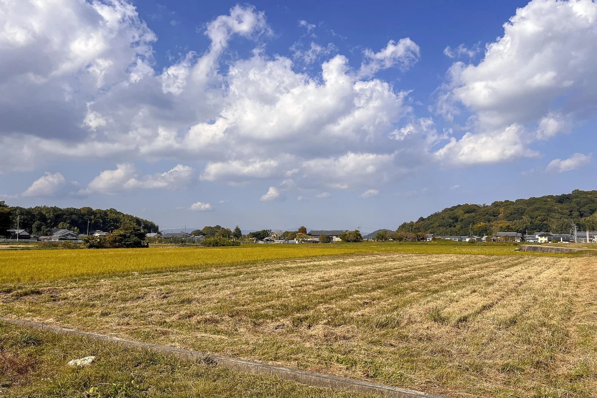 Open farmland with yellow and brown fields under a partly cloudy blue sky, distant trees, and low houses along the horizon.