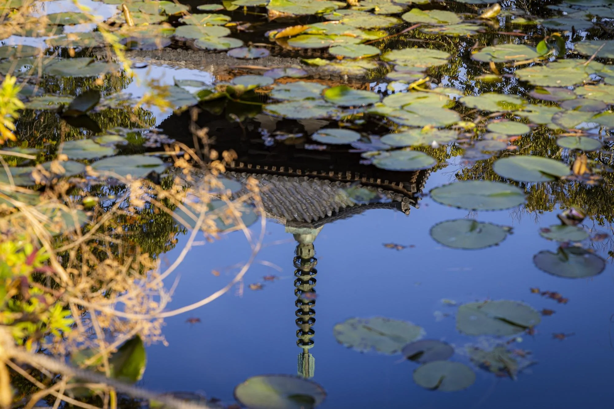 Reflection of a pagoda-style roof and tower in a pond with lily pads and floating leaves.