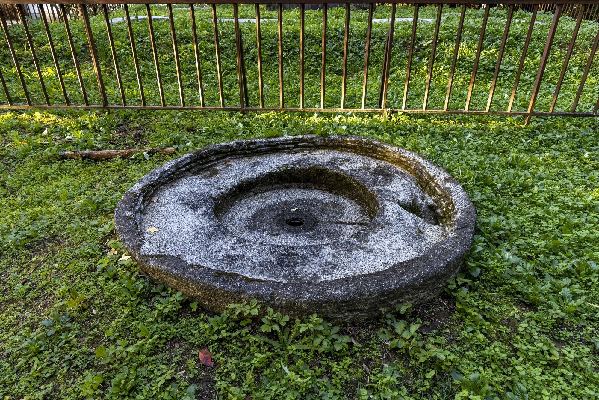 Old stone water well with circular opening surrounded by green grass and plants, fenced by iron bars in the background.