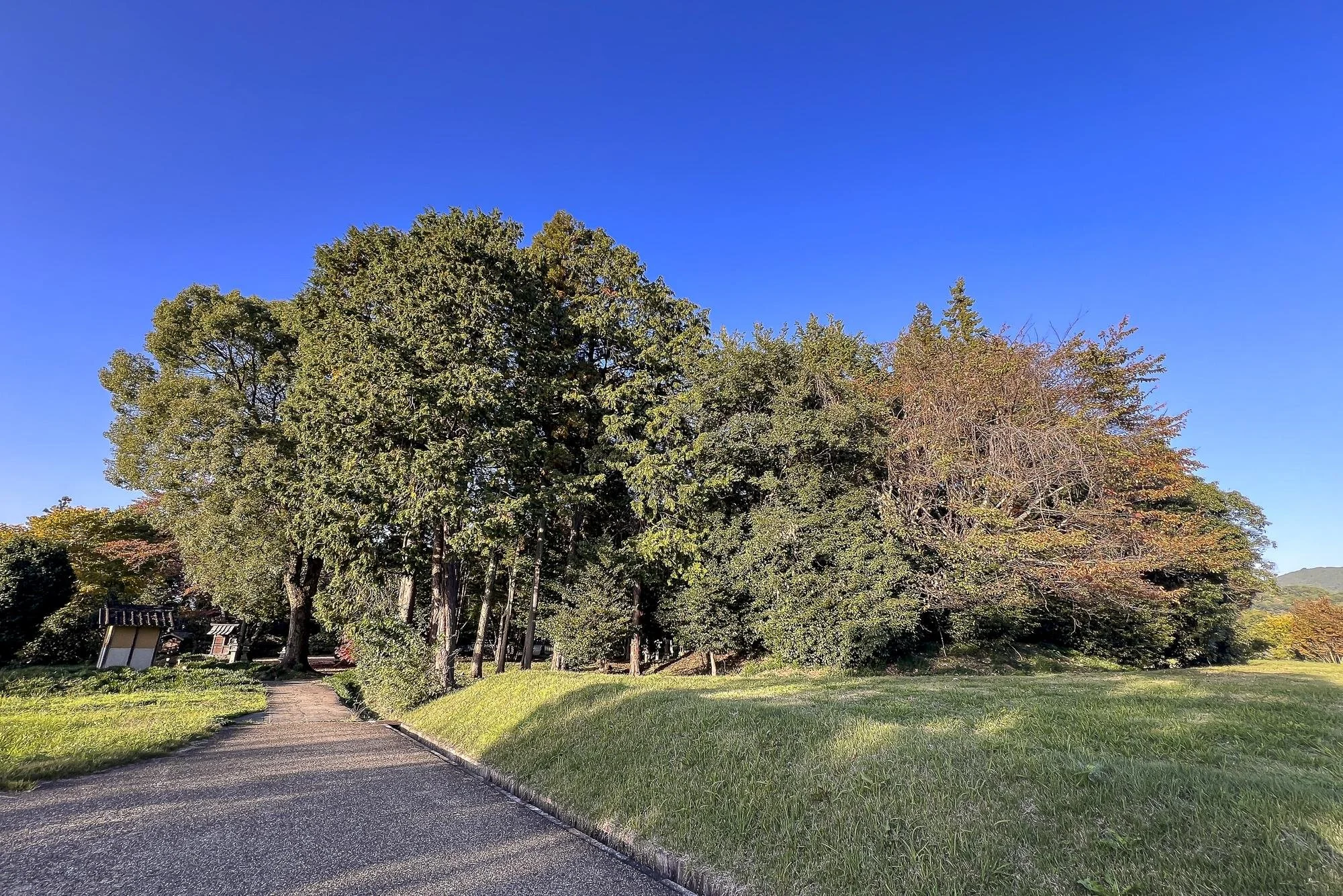 A park with a gravel path, green grass, and tall trees under a clear blue sky.