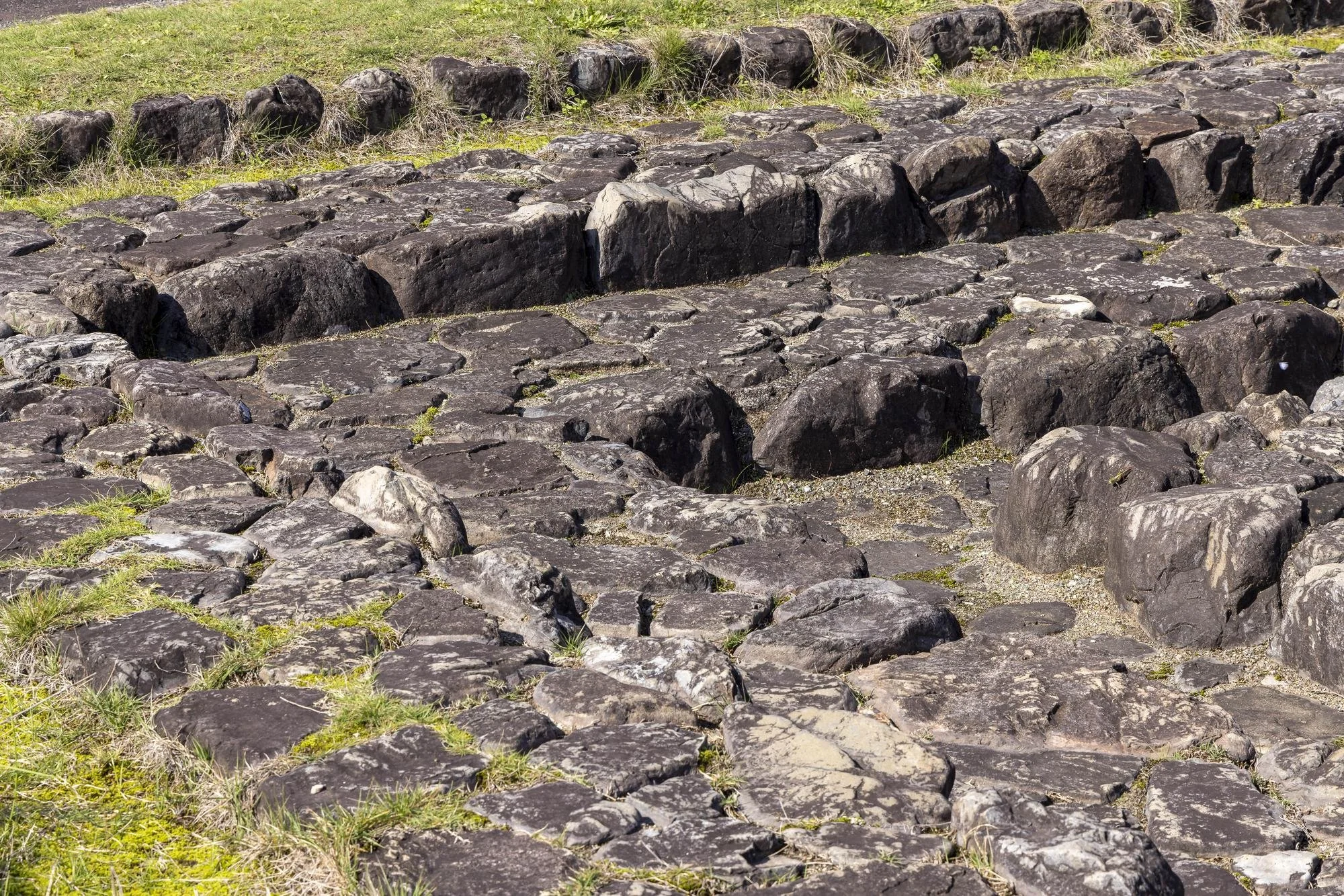 Asuka Palace Site: A pathway of large, dark rocks with some patches of grass growing in between, leading to a grassy area.