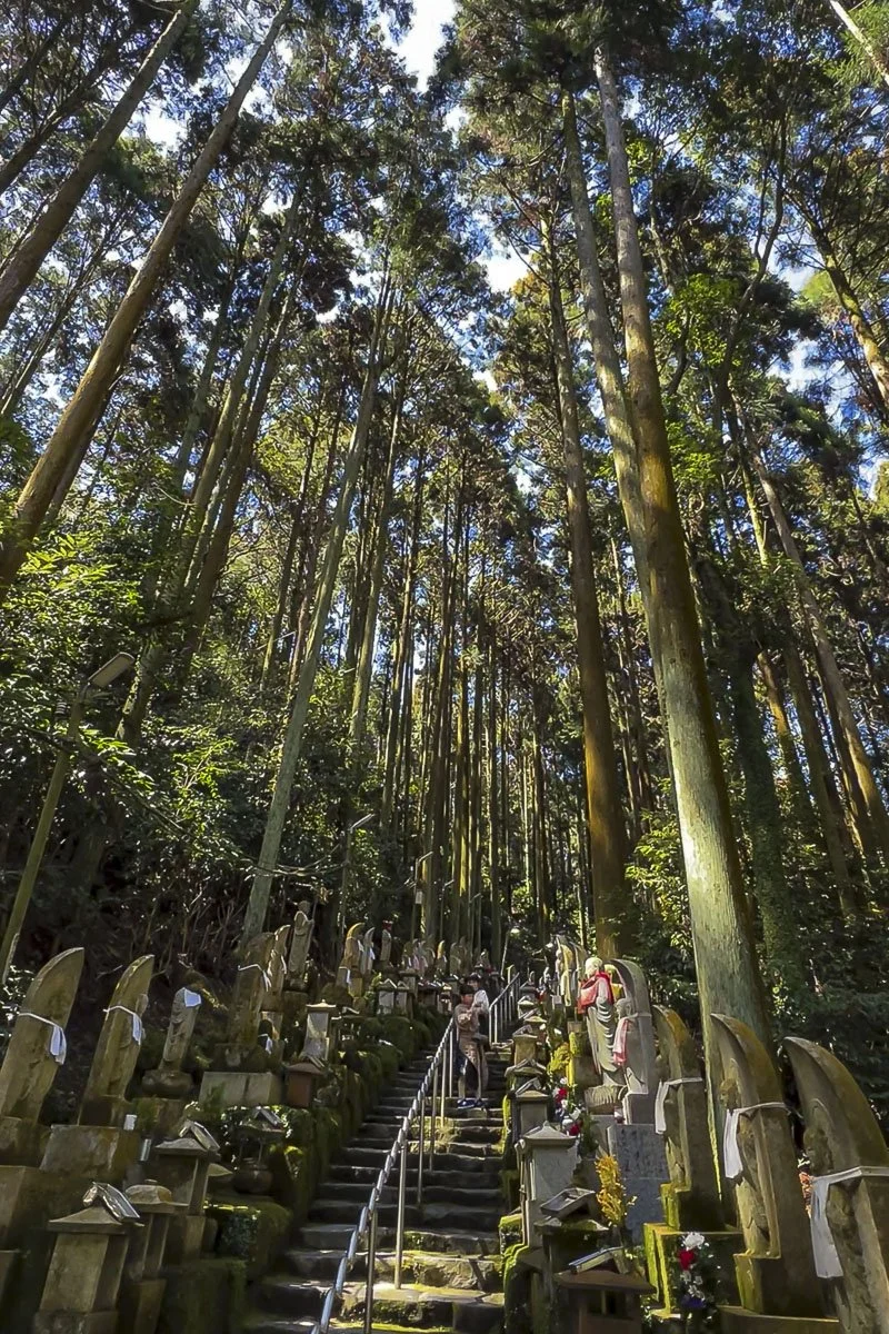 A wooded forest with tall trees and a staircase leading up. Along the sides of the stairs are small shrine structures and statues, some with flowers and offerings. People are walking up the stairs.