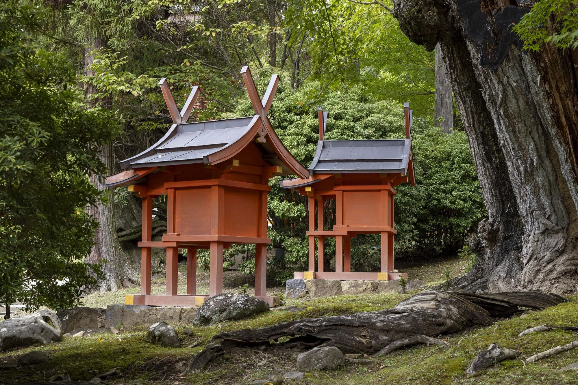 Two small traditional Japanese shrine structures with curved roofs, situated outdoors among trees and rocks.