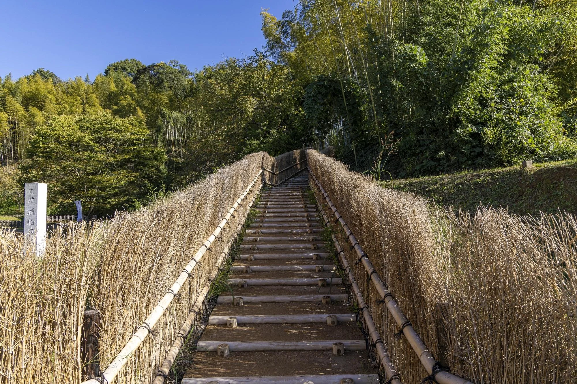 A bamboo pathway with stairs leading up through a lush green forested area on a bright, sunny day.