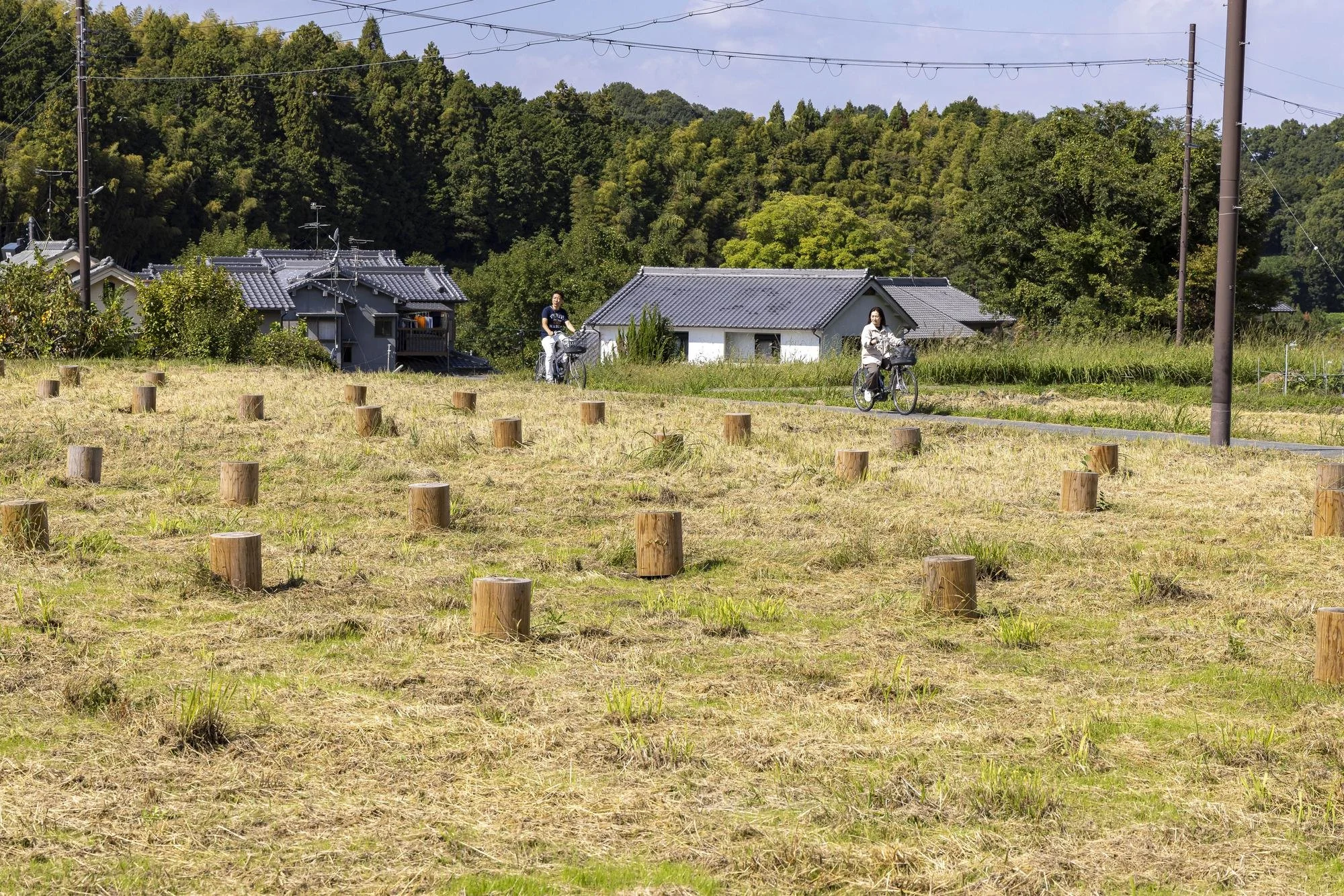 Short wooden posts marking ancient pillar positions in a grassy archaeological site in Asuka, with cyclists and traditional houses in the background.