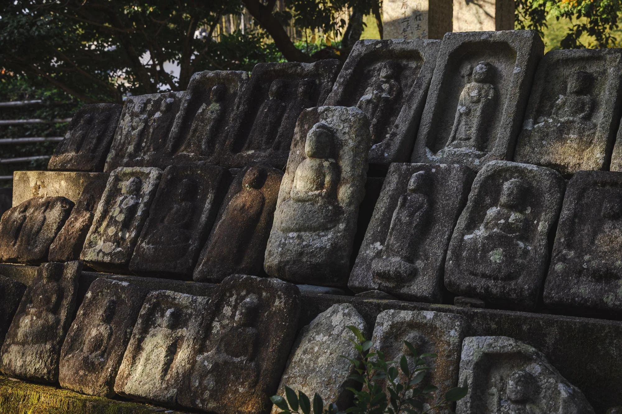Ancient stone carvings featuring small Buddha statues, arranged in multiple rows on a stone platform, partially illuminated by sunlight, with a background of trees and greenery.