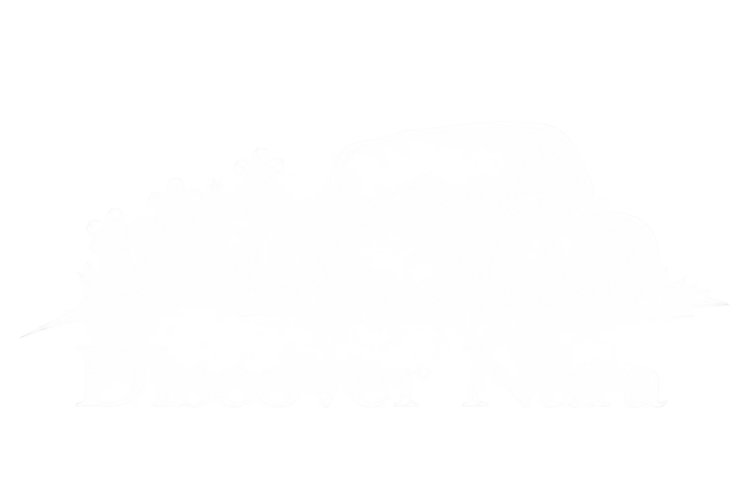 Discover Nara