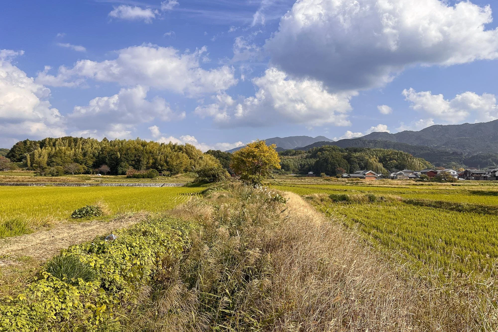 A rural landscape with fields, trees, and mountains under a partly cloudy sky.
