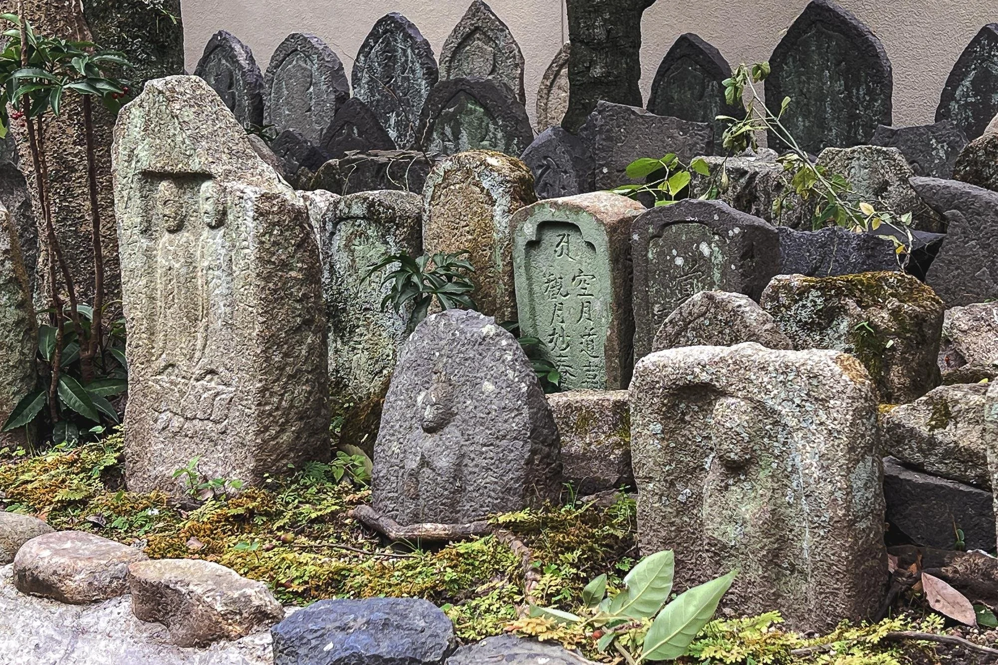 Collection of historic stone memorials and tablets with Japanese inscriptions, surrounded by moss and greenery.