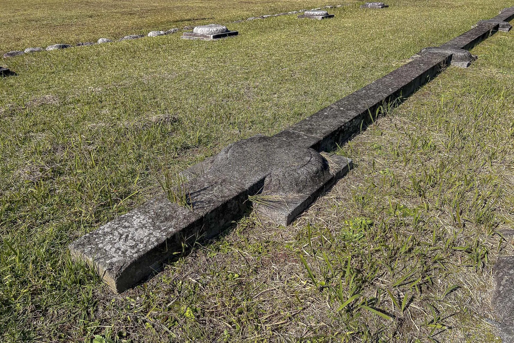 Ancient stone monument with carved turtle shapes in a grassy outdoor setting.