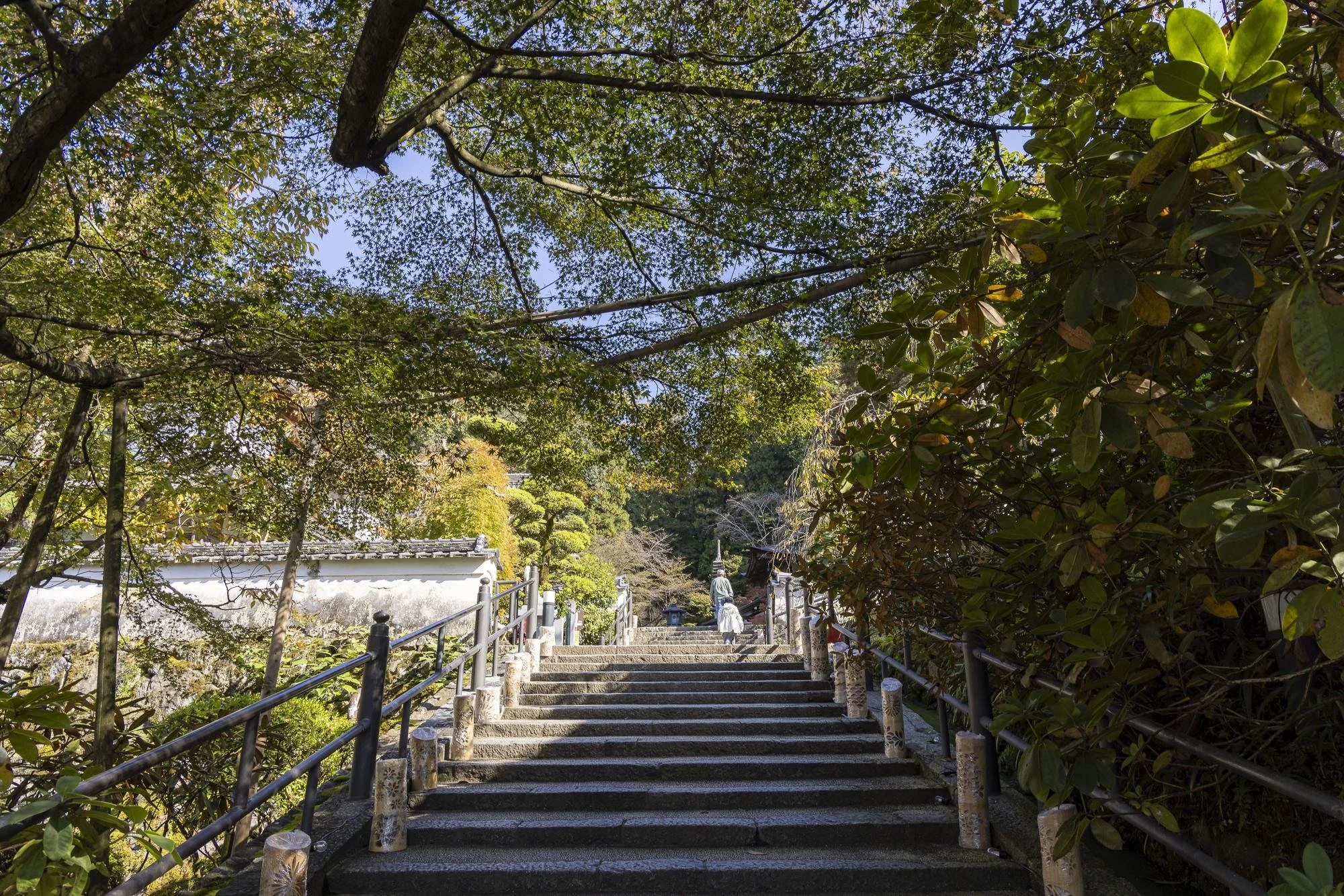 Stone stairs leading up through a lush green garden with trees and bushes on both sides, under a clear blue sky.