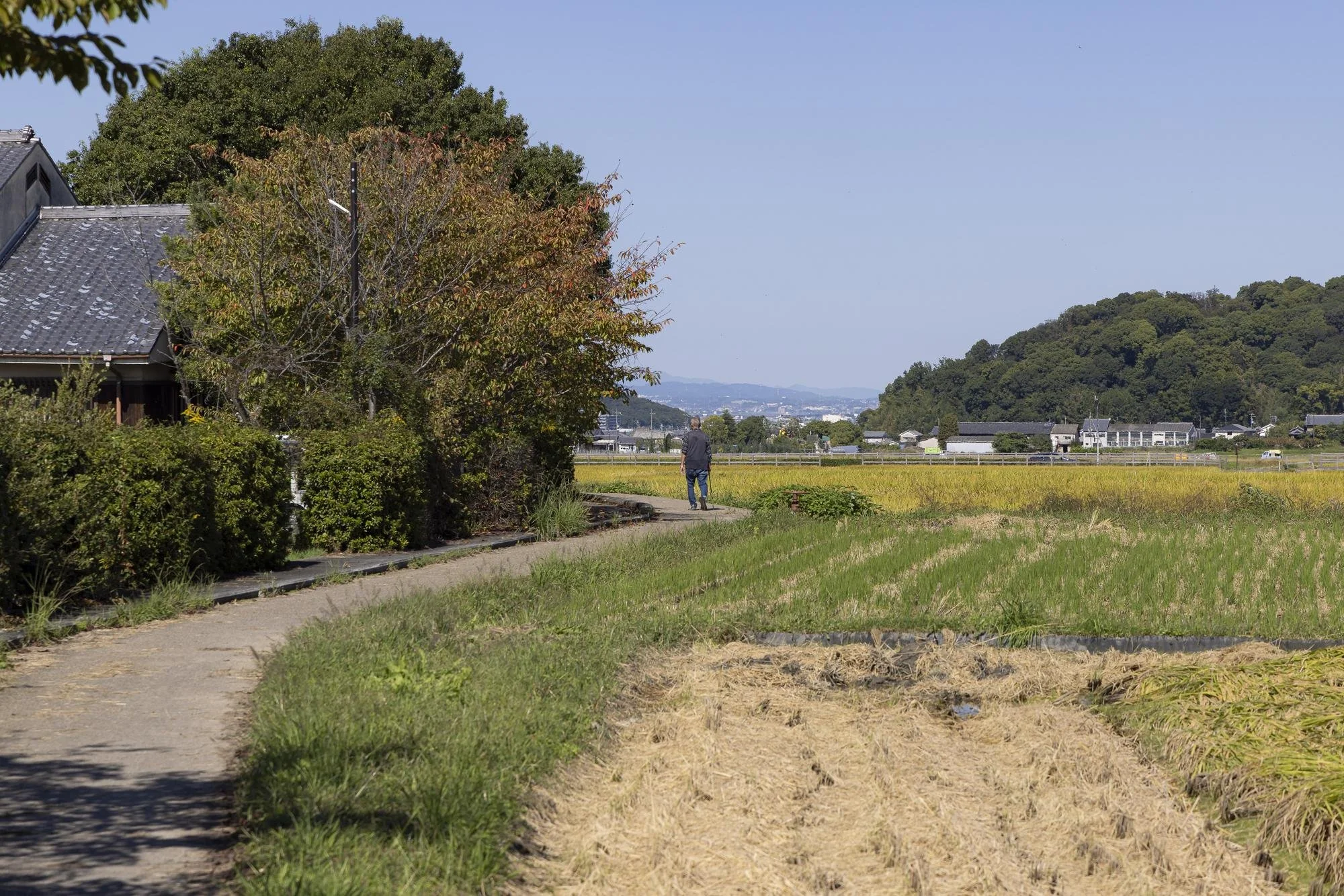 Wide rural landscape of fields, villages, and mountains in Asuka Village, Nara.