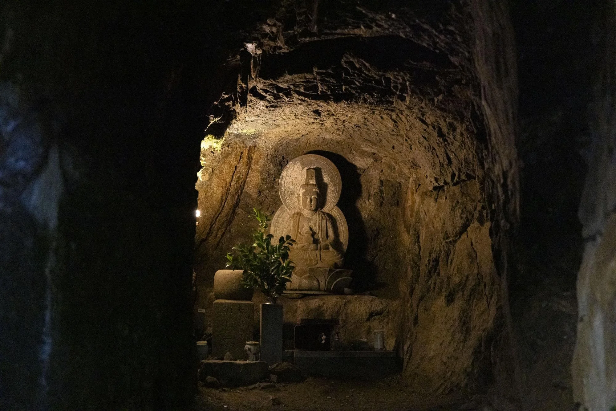 A carved stone Buddha statue inside a cave, illuminated by soft lighting, with a small potted plant nearby.