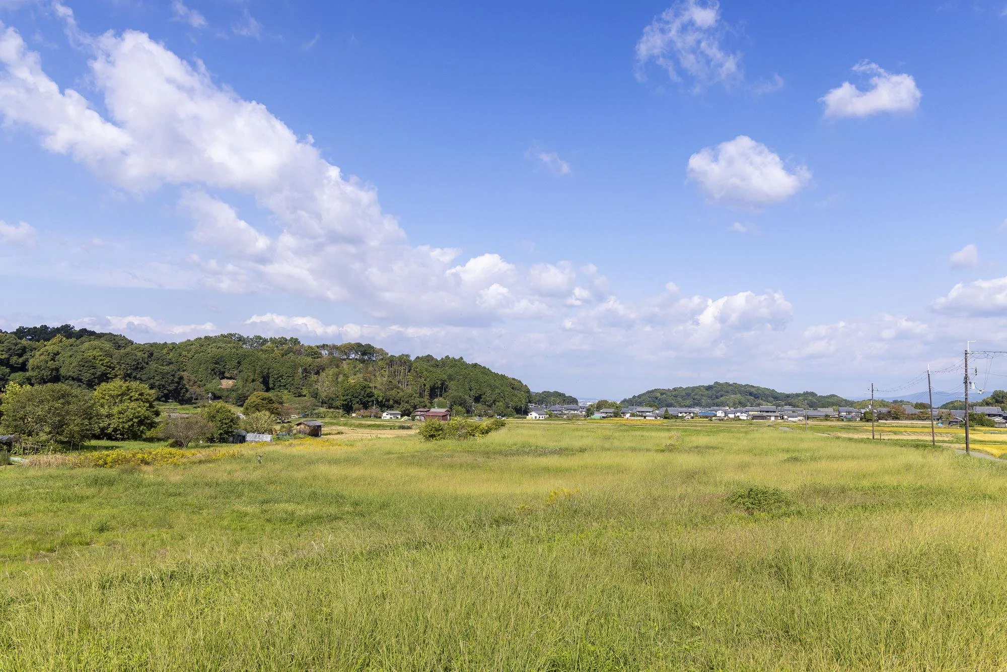 Open green fields with a few houses in the distance under a blue sky with white clouds.