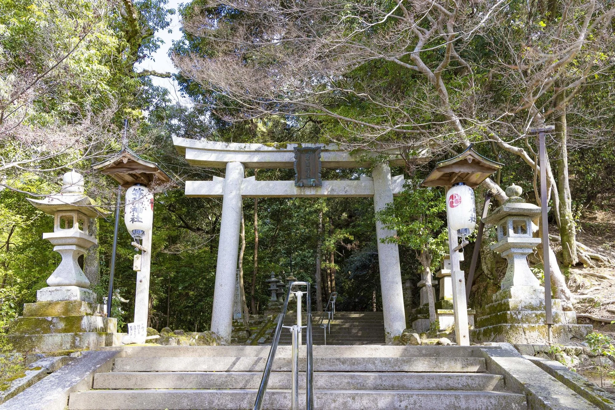 Tomi-jinja-Shrine_001.jpg