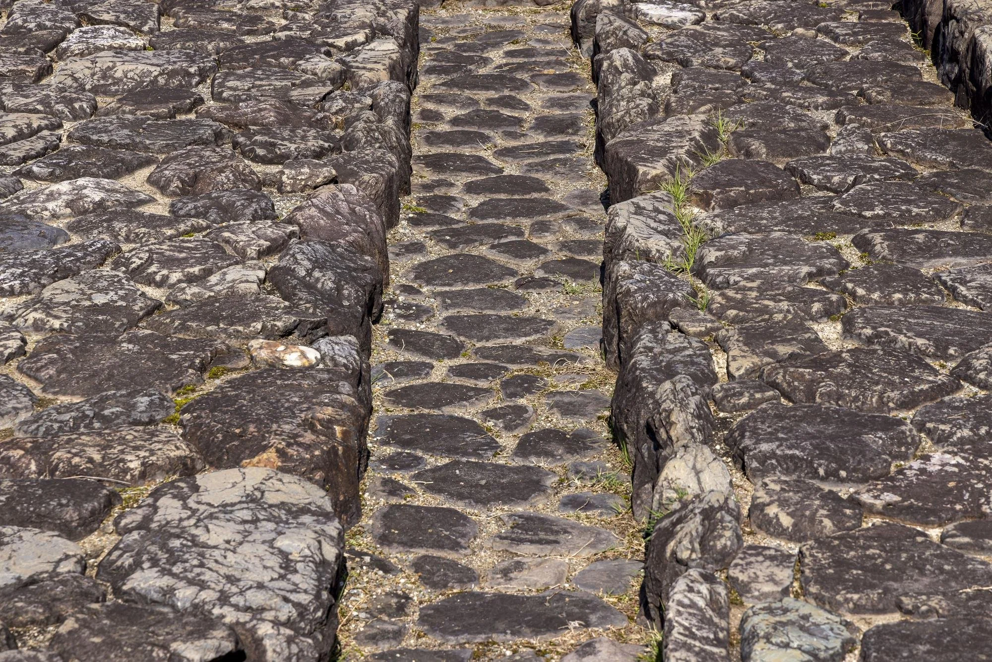 Asuka Palace Site: Ancient cobblestone street with raised stone sidewalks on either side and a narrow path in the middle, with small patches of grass growing between the stones.