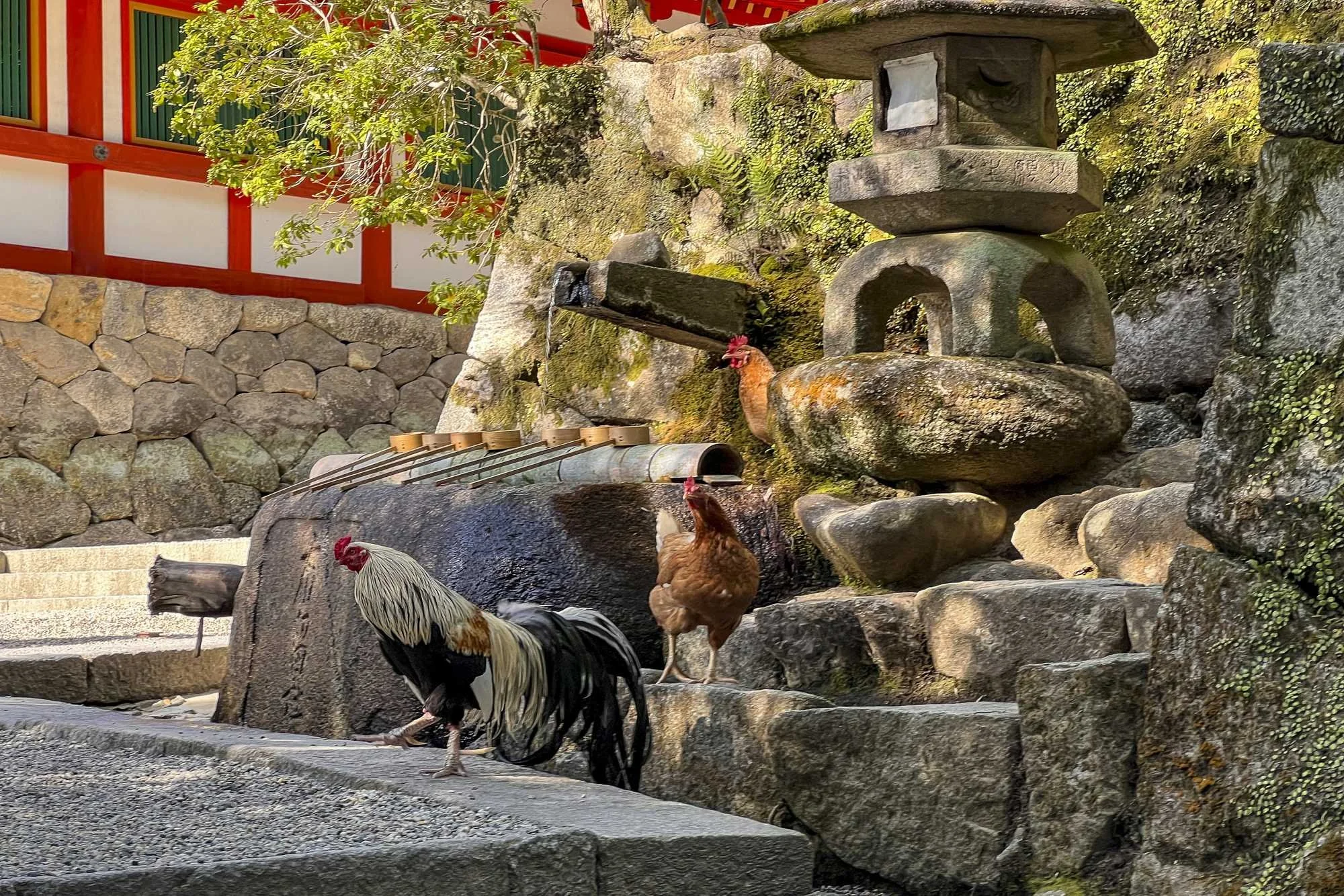 Isonokami-jingu-Shrine_007.jpg