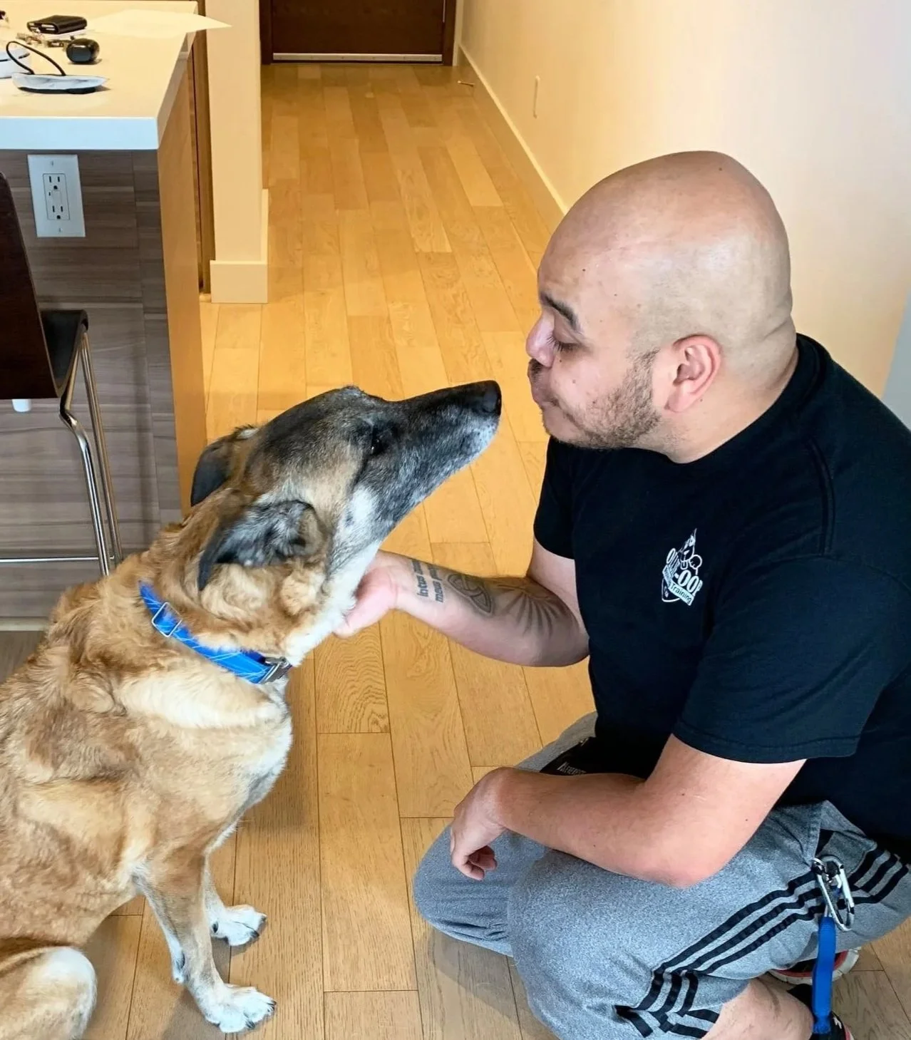 Ollie kneeling on the floor faces a dog and gently holds the dog's face while they touch noses.