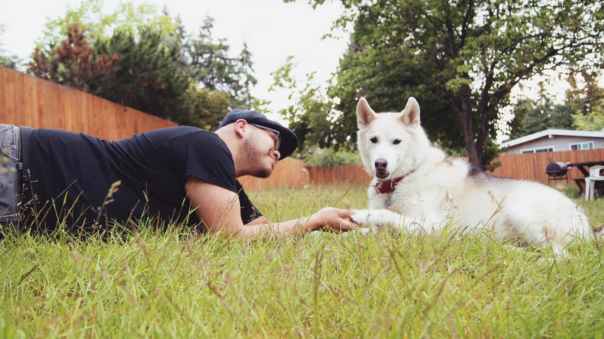 Ollie is lying on the grass and holding paws with his white husky Dante