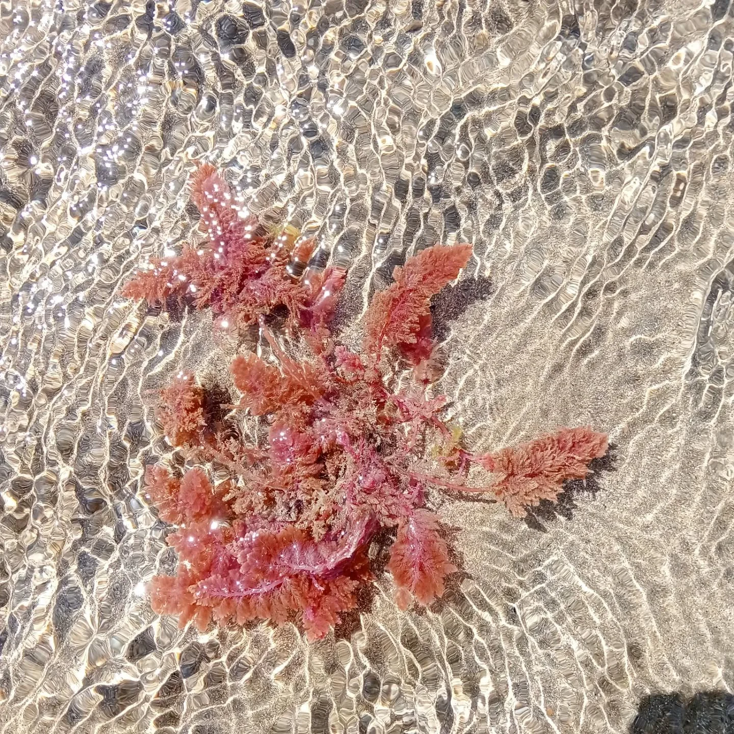 Hunting for inspiration in the environment