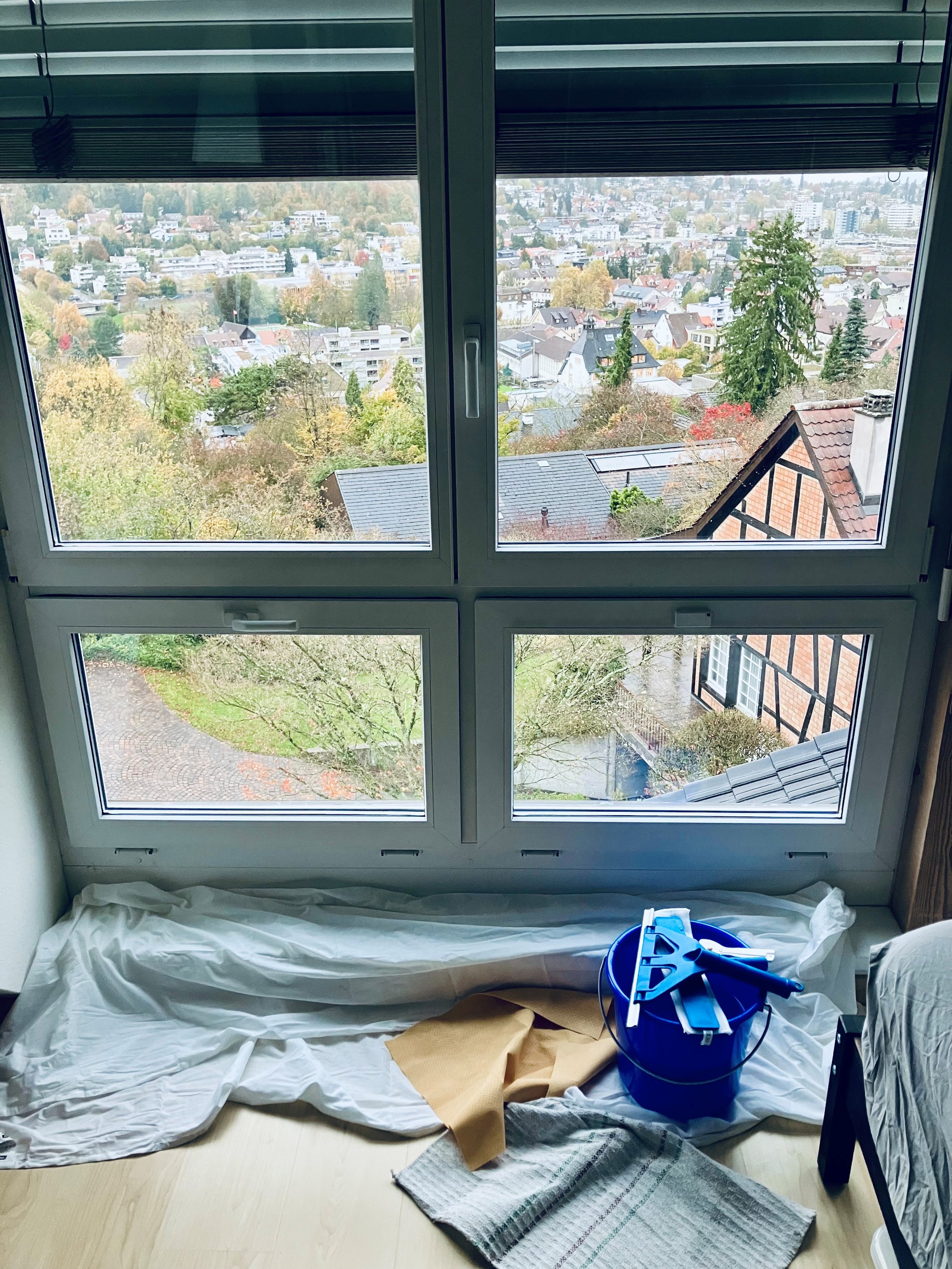 Fenster.jpg