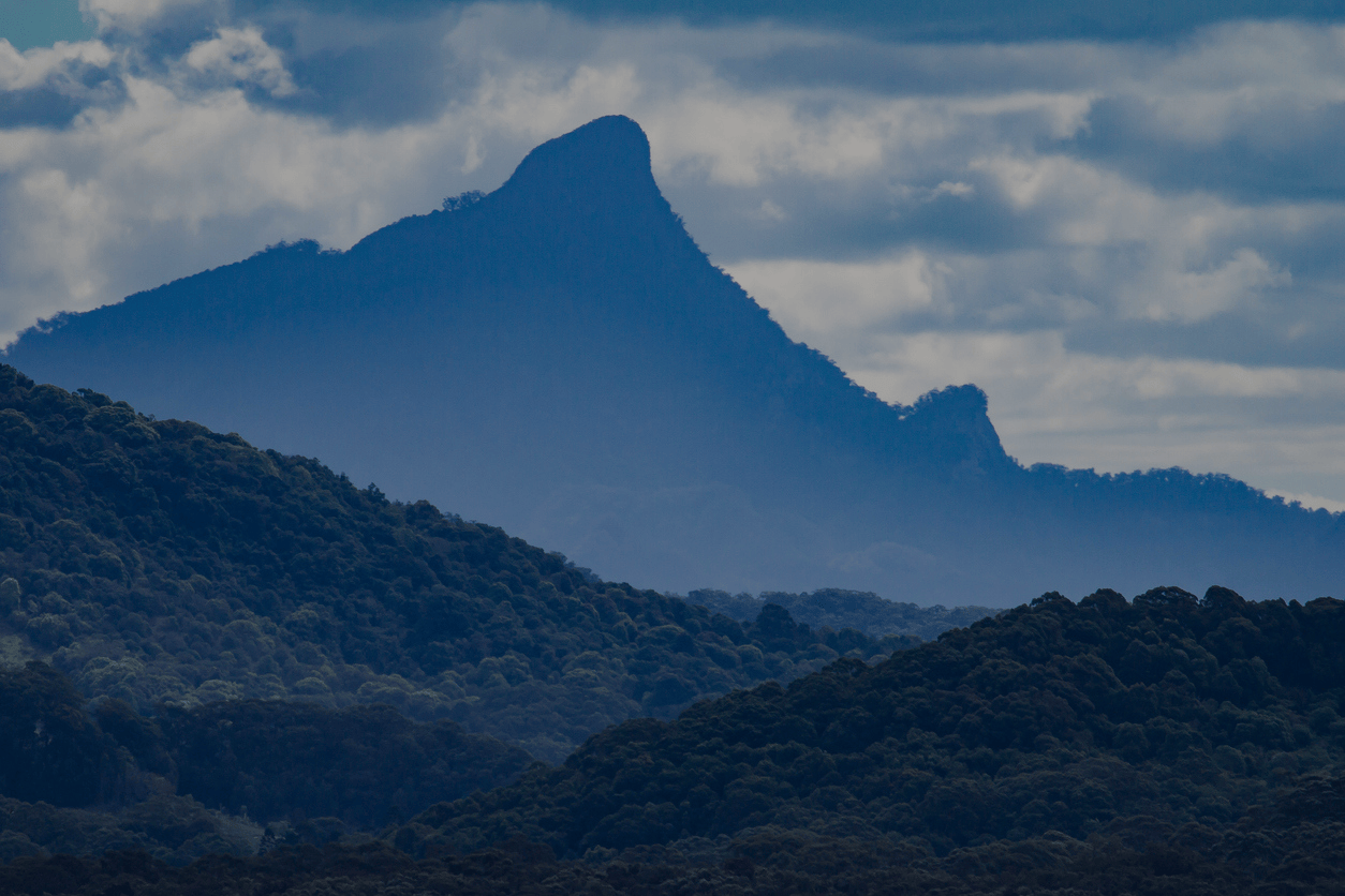 Mount Warning Northern Rivers NSW — Modern Earth Projects & Maintenance service area